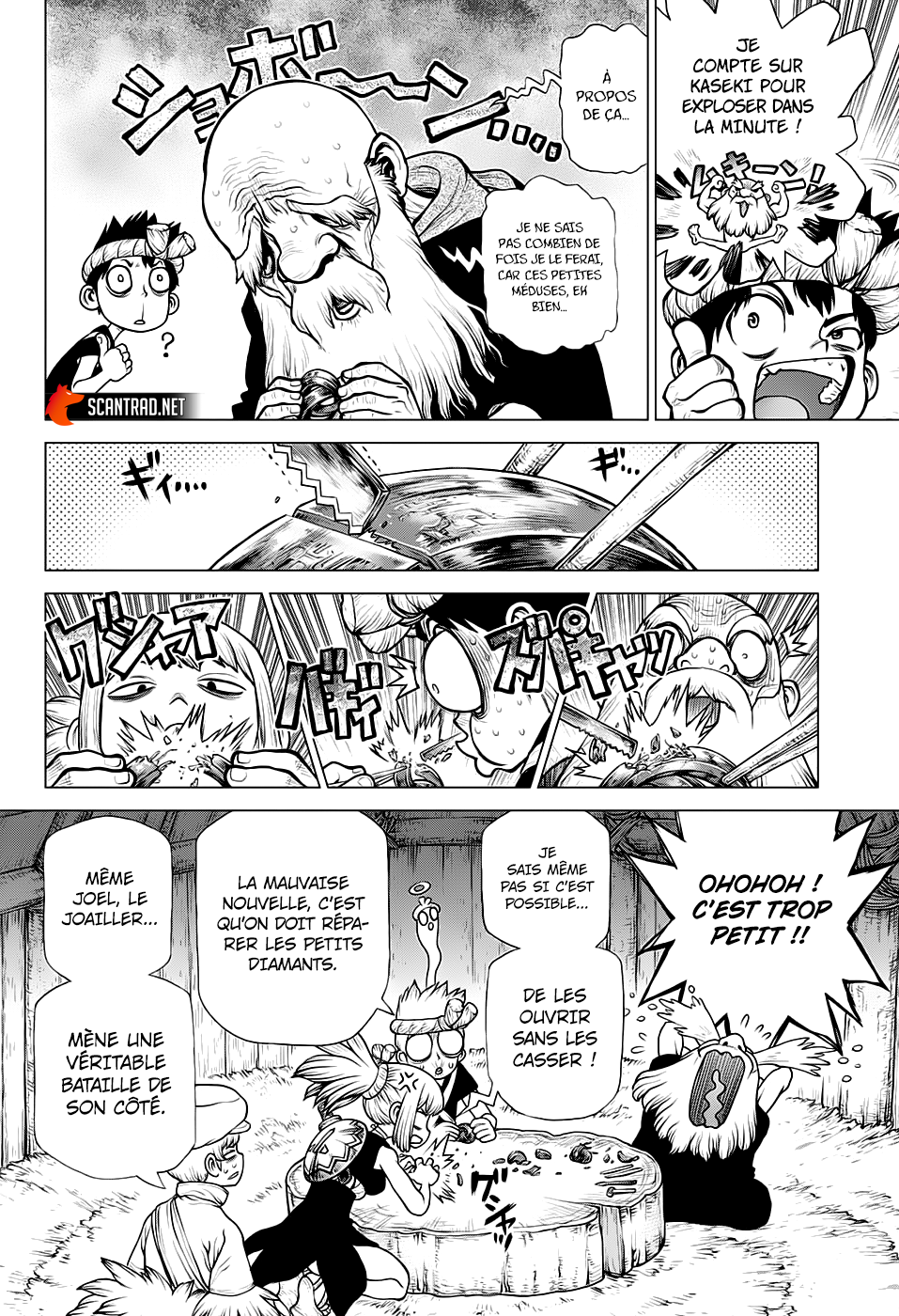 Dr. Stone: Chapter chapitre-184 - Page 12