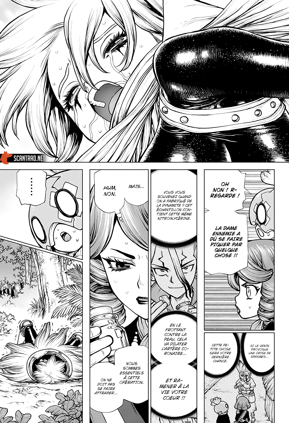 Dr. Stone: Chapter chapitre-185 - Page 14