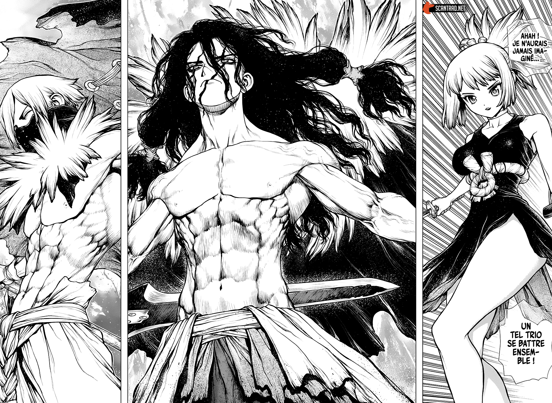 Dr. Stone: Chapter chapitre-187 - Page 15