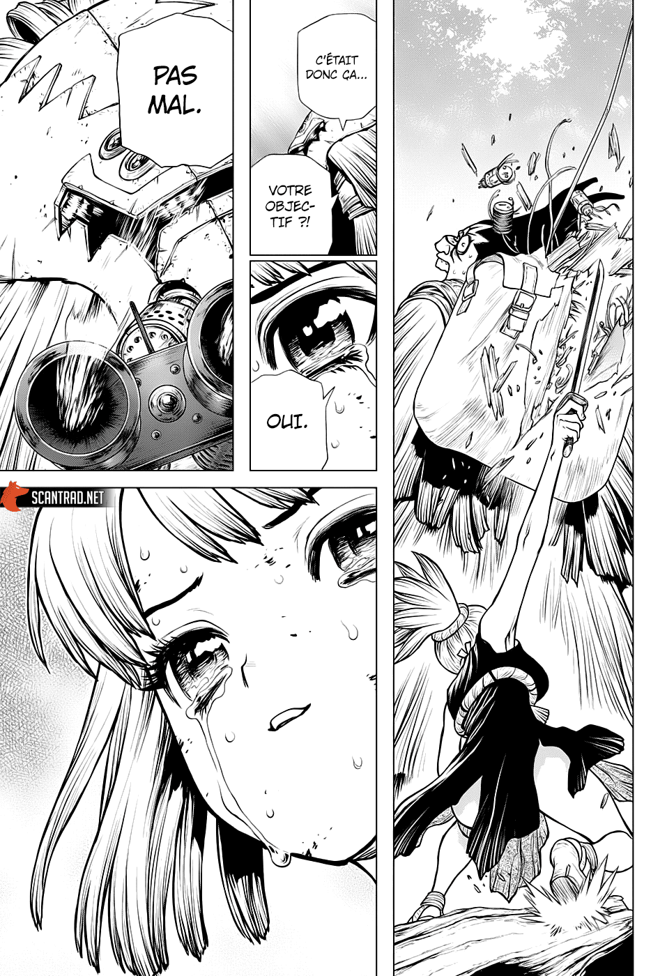 Dr. Stone: Chapter chapitre-188 - Page 12
