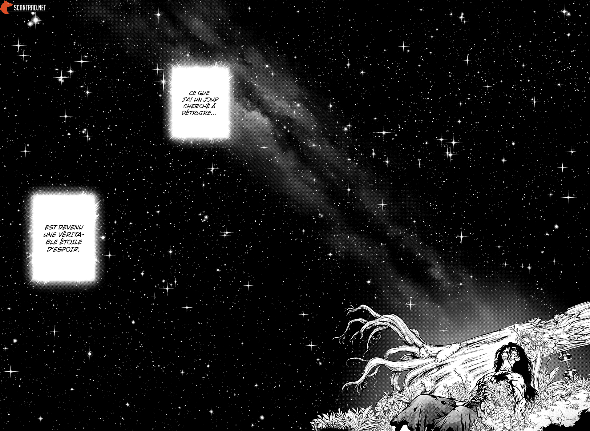 Dr. Stone: Chapter chapitre-188 - Page 15