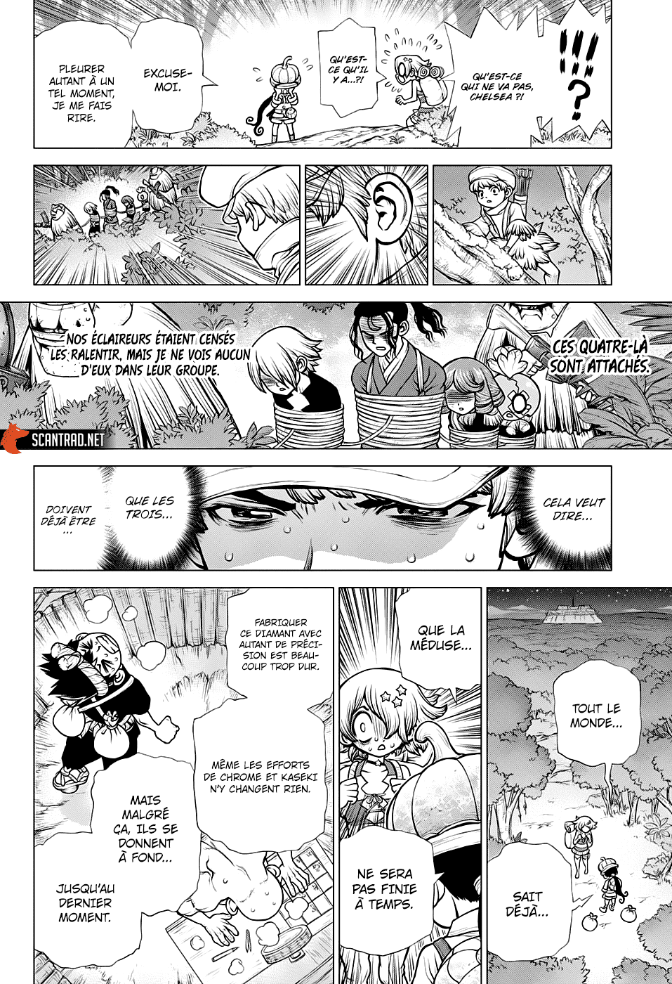 Dr. Stone: Chapter chapitre-189 - Page 10