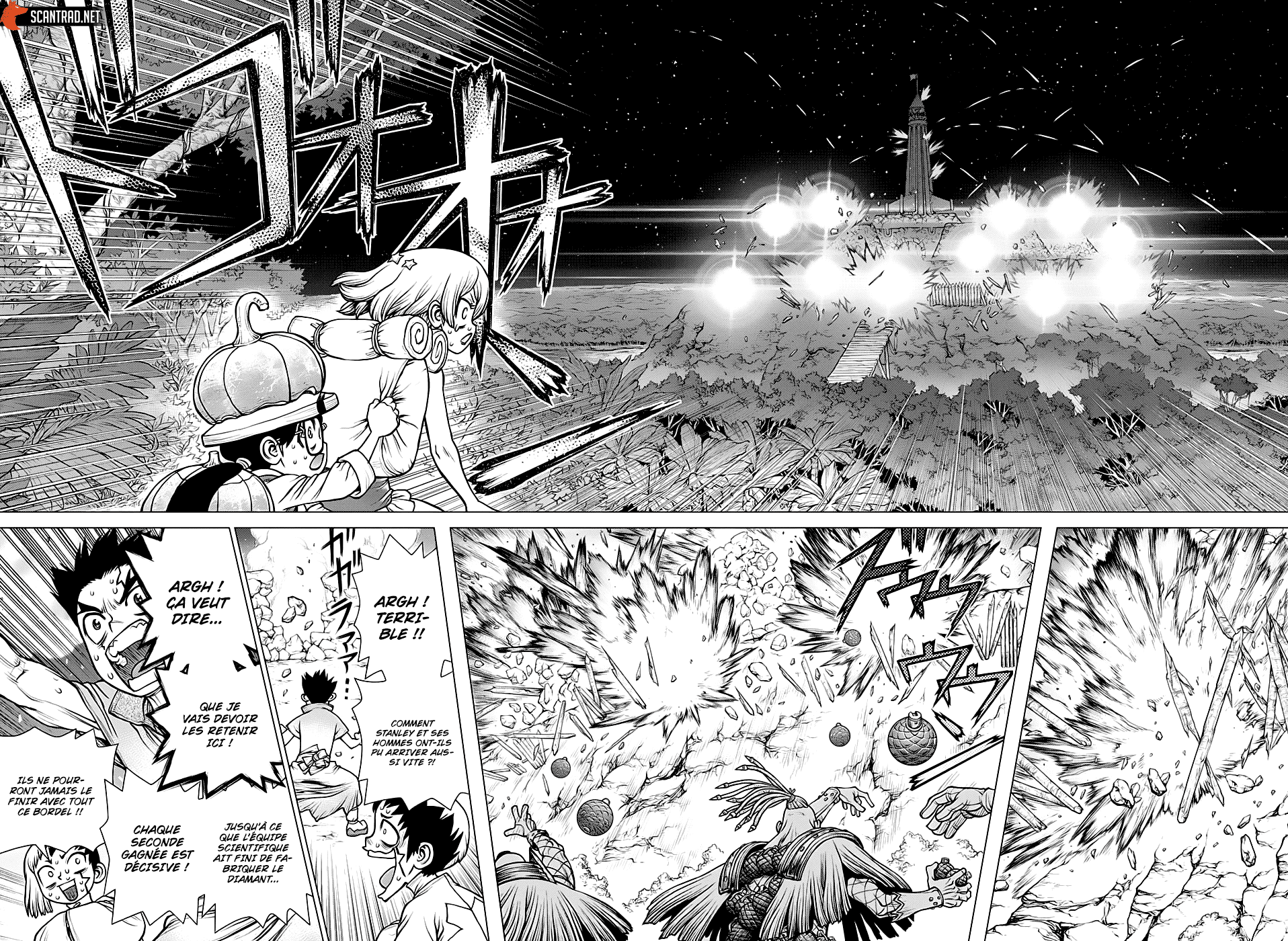 Dr. Stone: Chapter chapitre-189 - Page 12