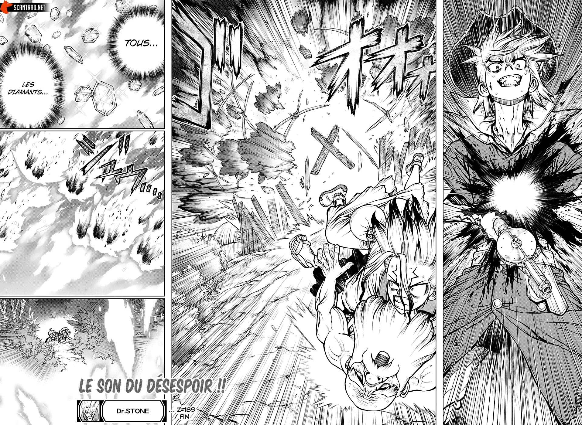 Dr. Stone: Chapter chapitre-189 - Page 19