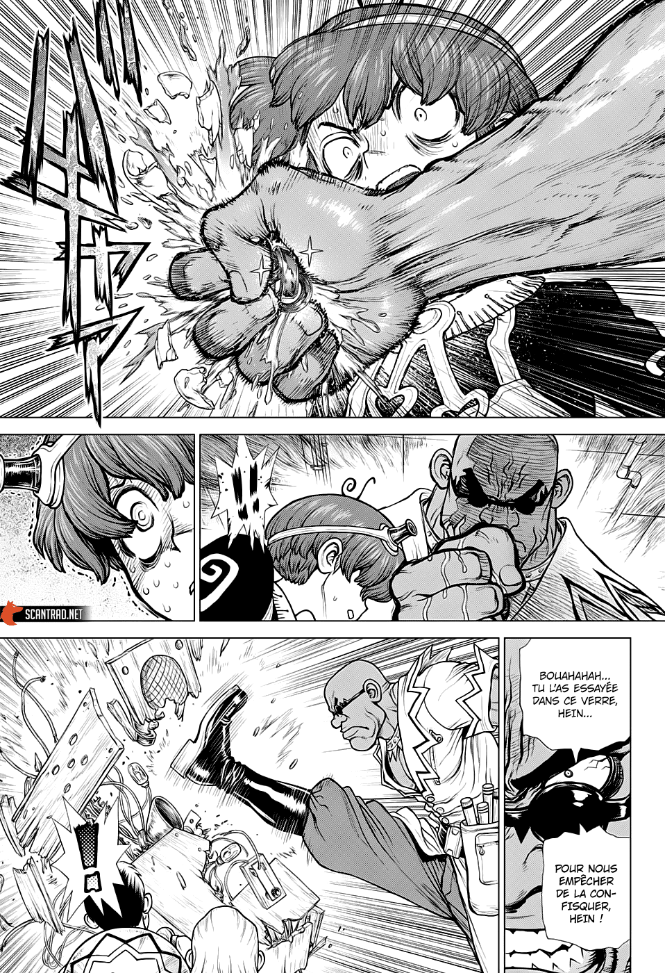 Dr. Stone: Chapter chapitre-190 - Page 11