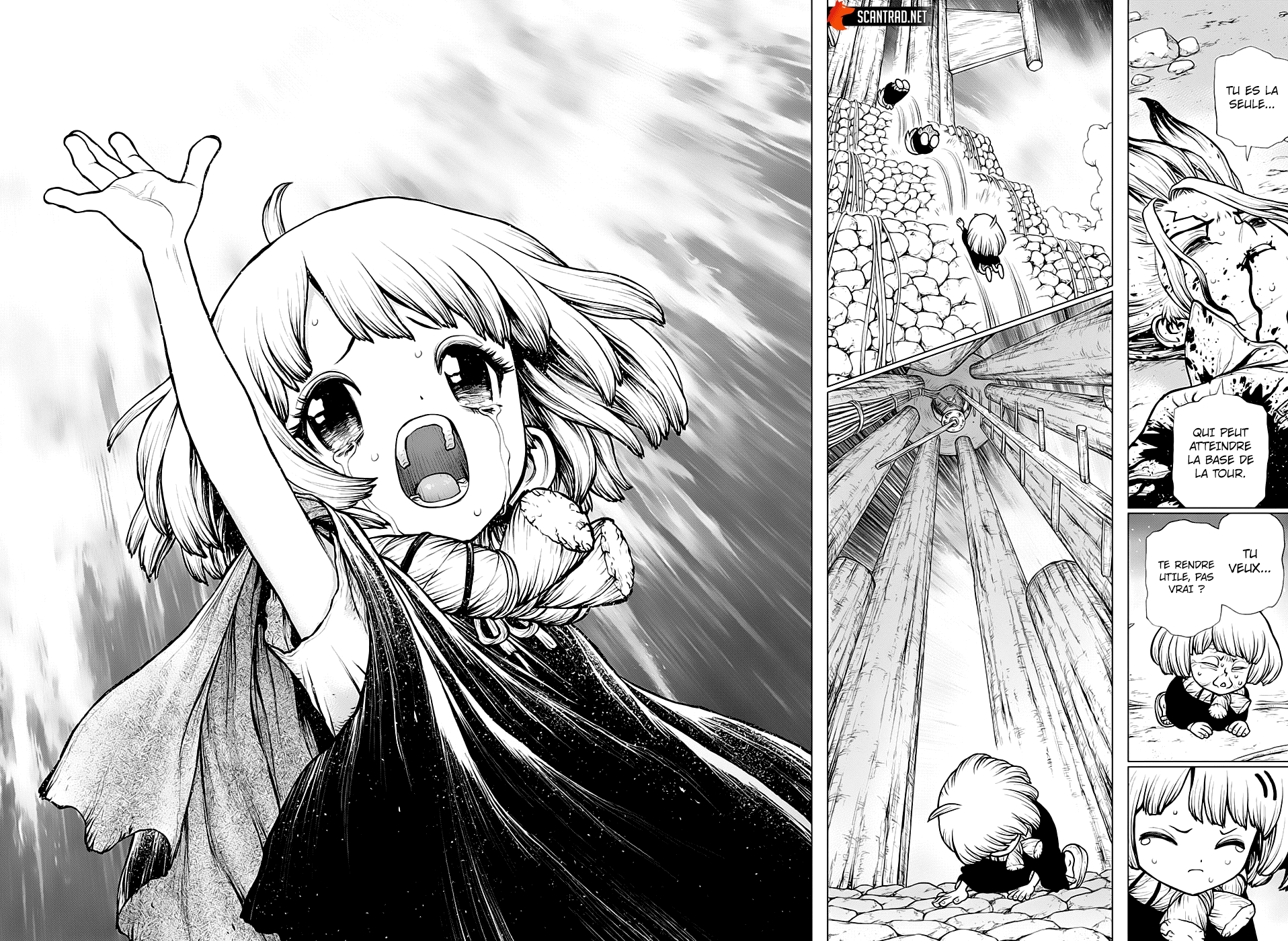 Dr. Stone: Chapter chapitre-192 - Page 15