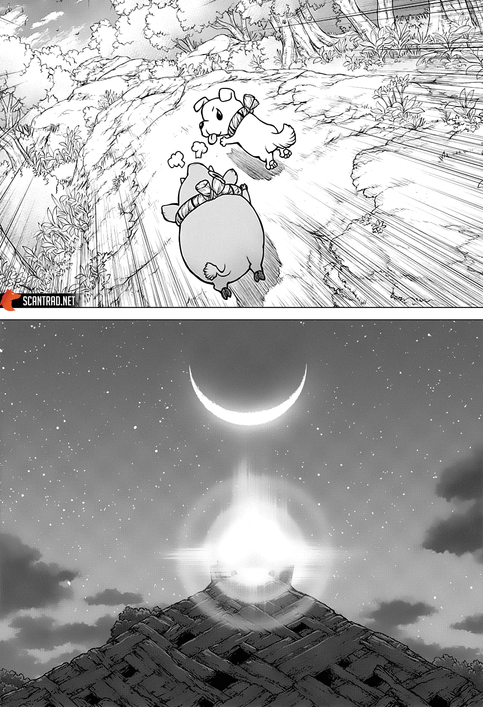 Dr. Stone: Chapter chapitre-193 - Page 14