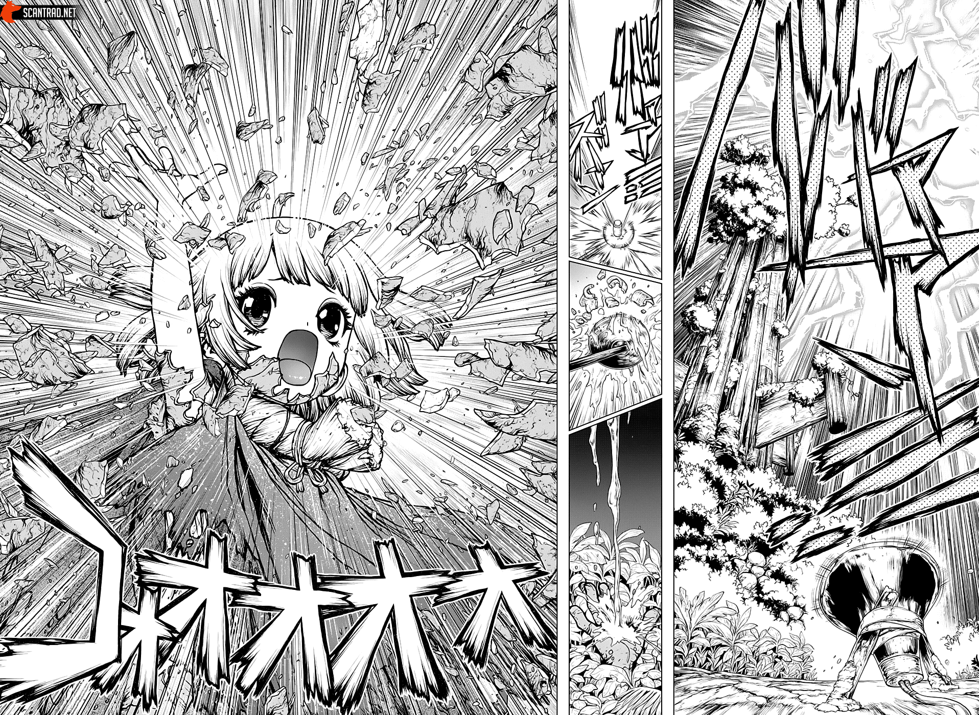 Dr. Stone: Chapter chapitre-194 - Page 6