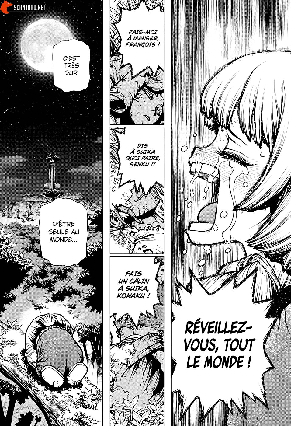 Dr. Stone: Chapter chapitre-194 - Page 13