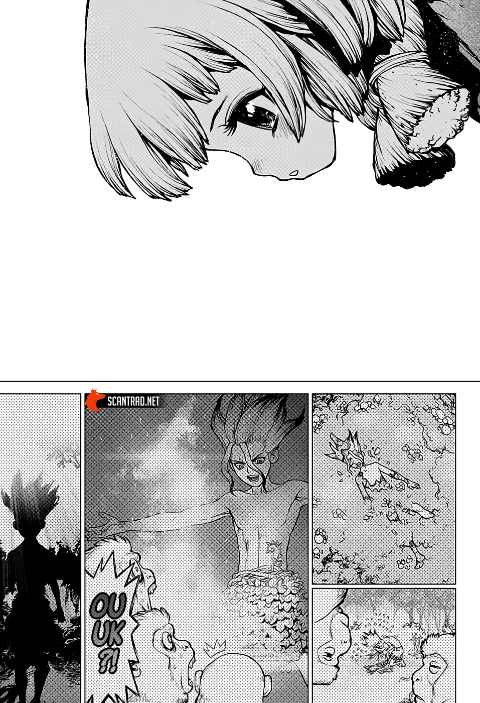 Dr. Stone: Chapter chapitre-194 - Page 14
