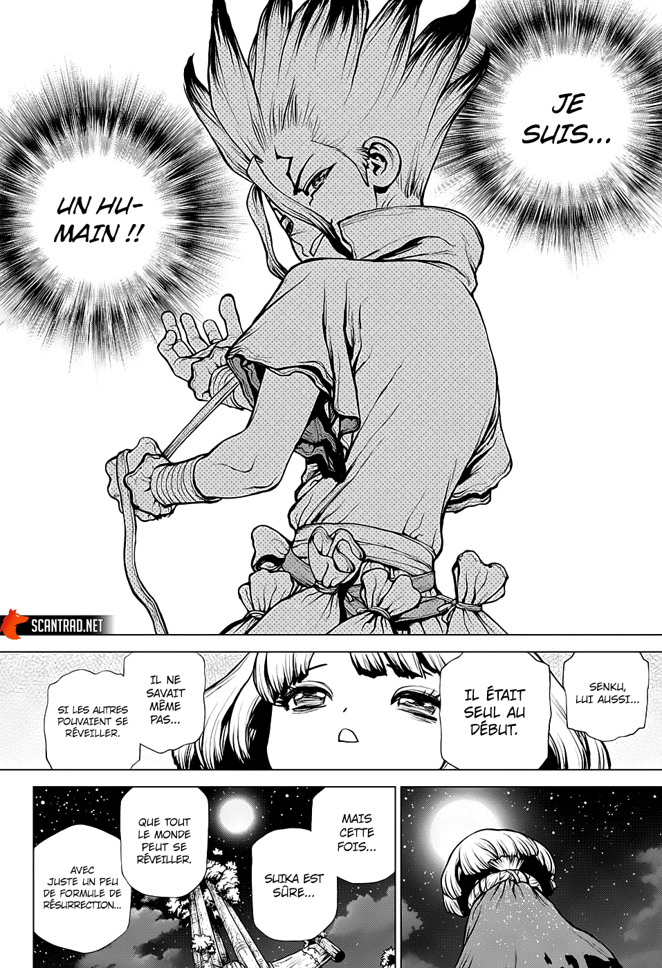 Dr. Stone: Chapter chapitre-194 - Page 15