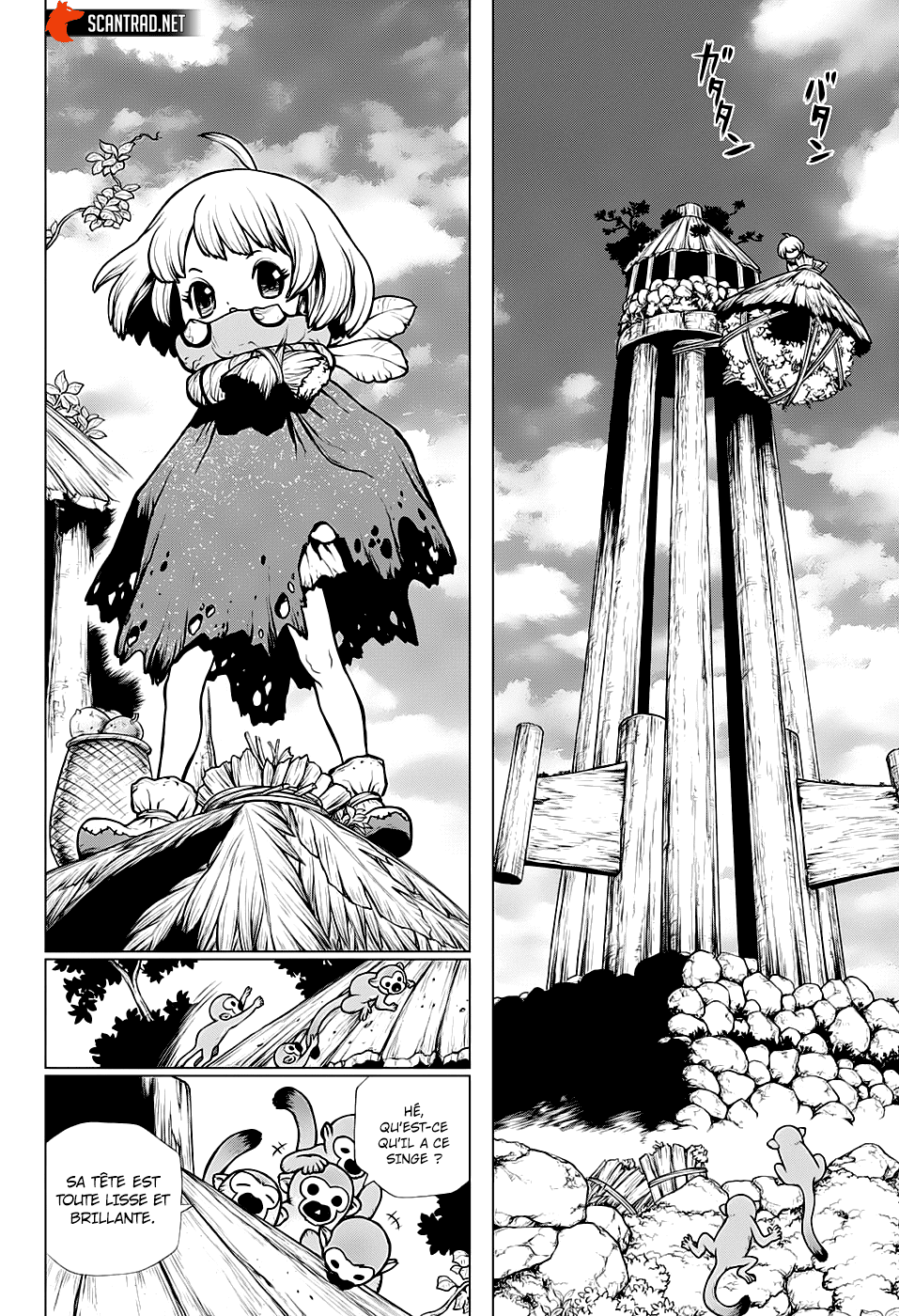 Dr. Stone: Chapter chapitre-194 - Page 17