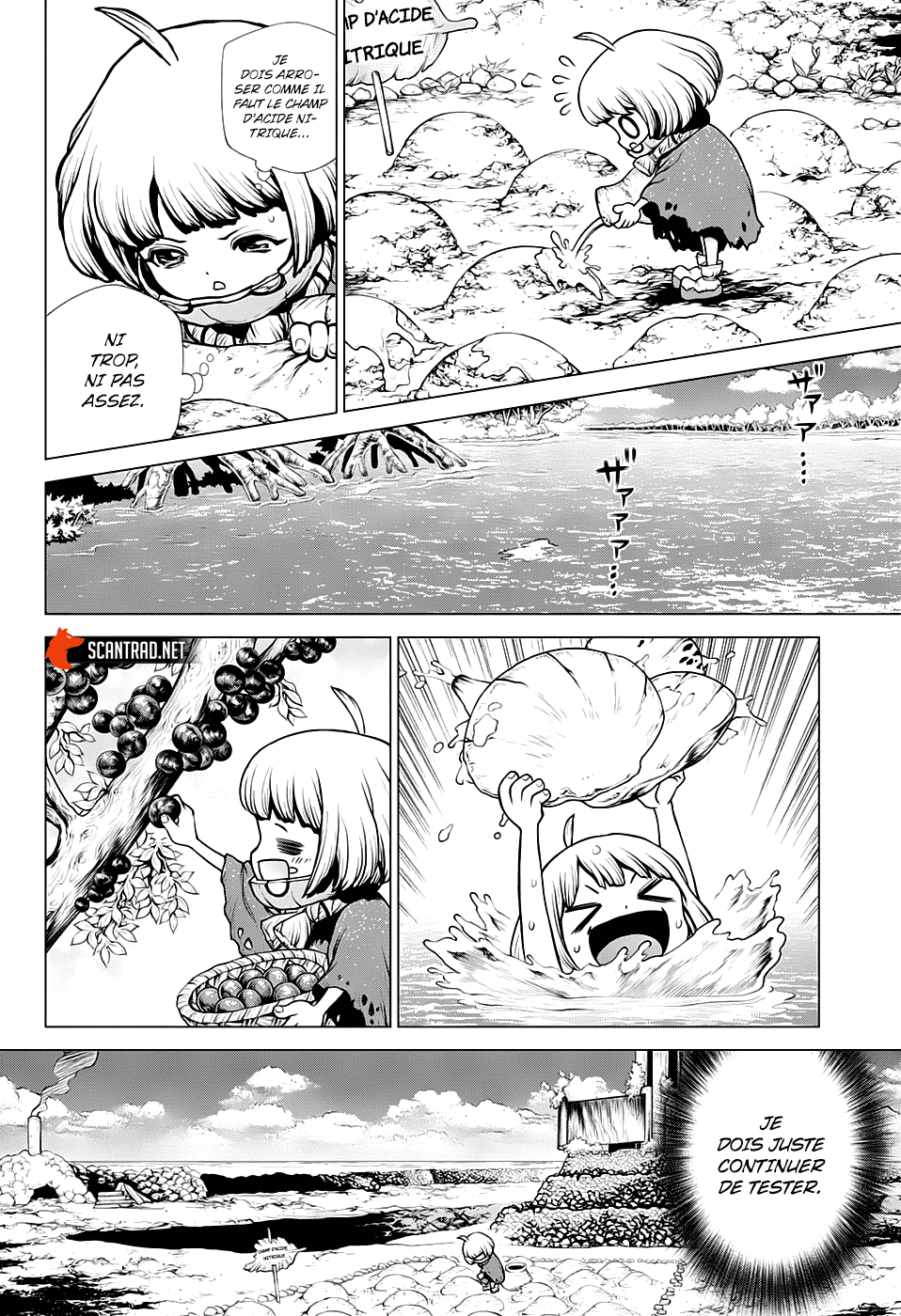 Dr. Stone: Chapter chapitre-196 - Page 13