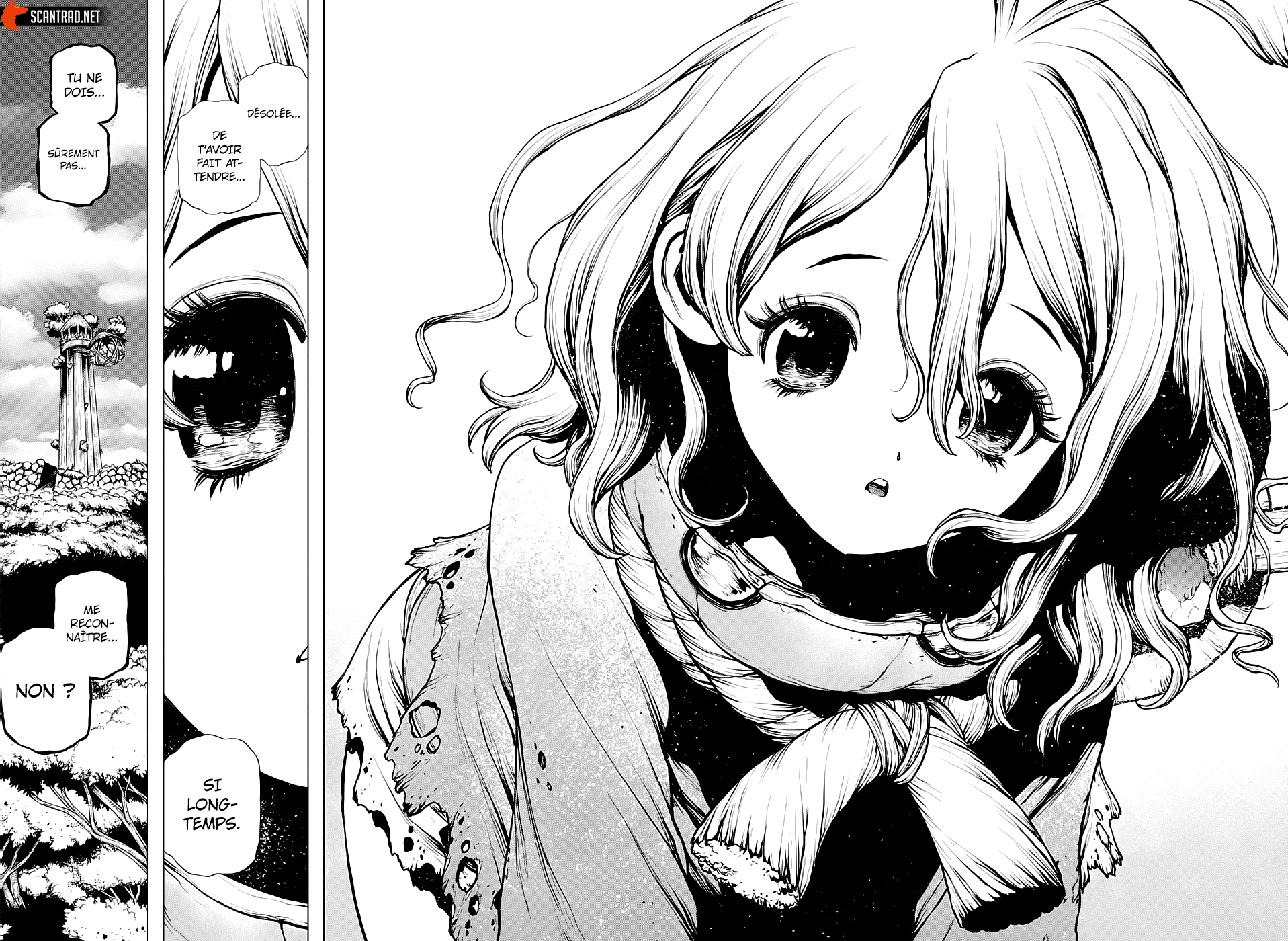 Dr. Stone: Chapter chapitre-196 - Page 17