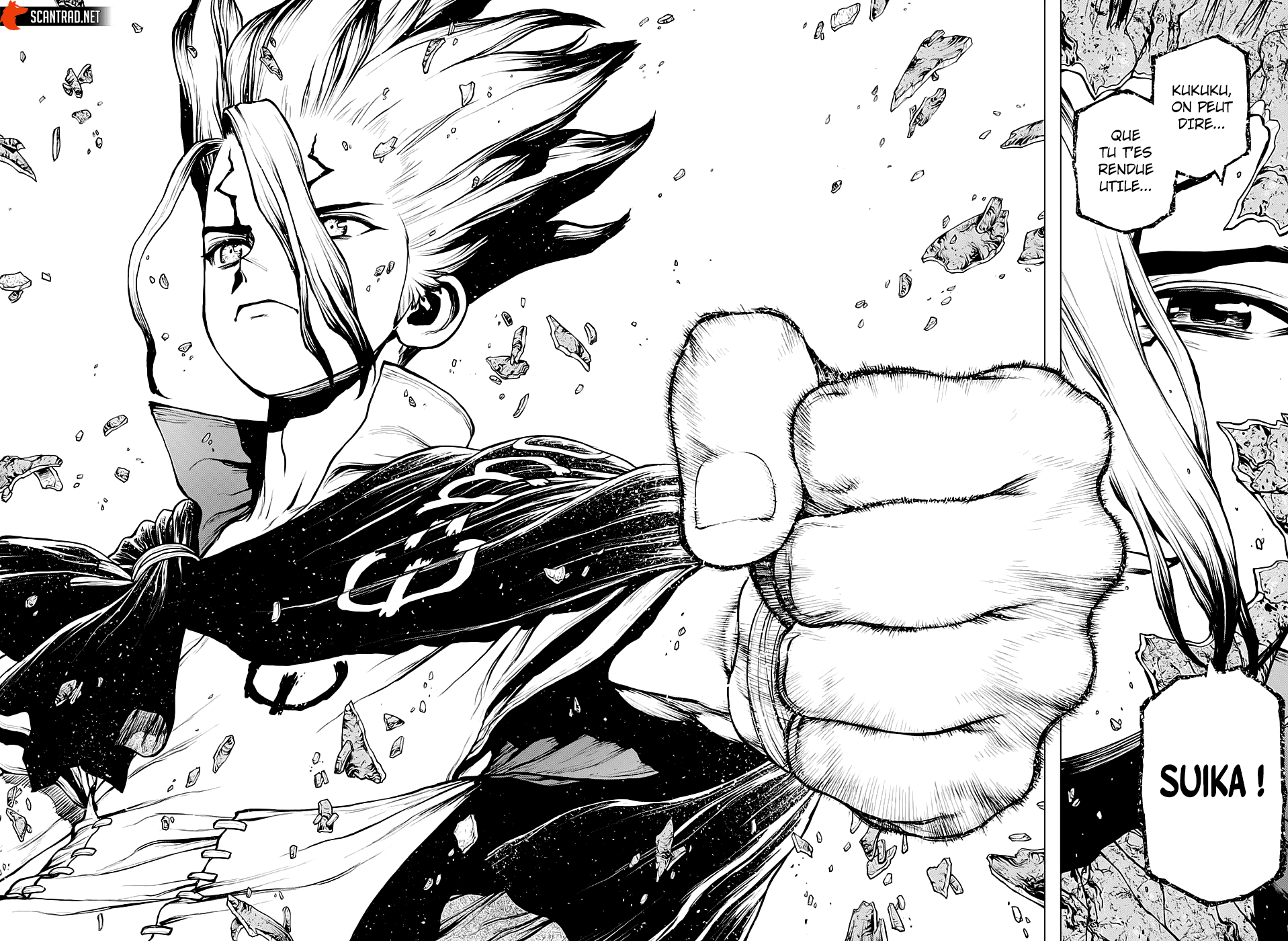 Dr. Stone: Chapter chapitre-196 - Page 18