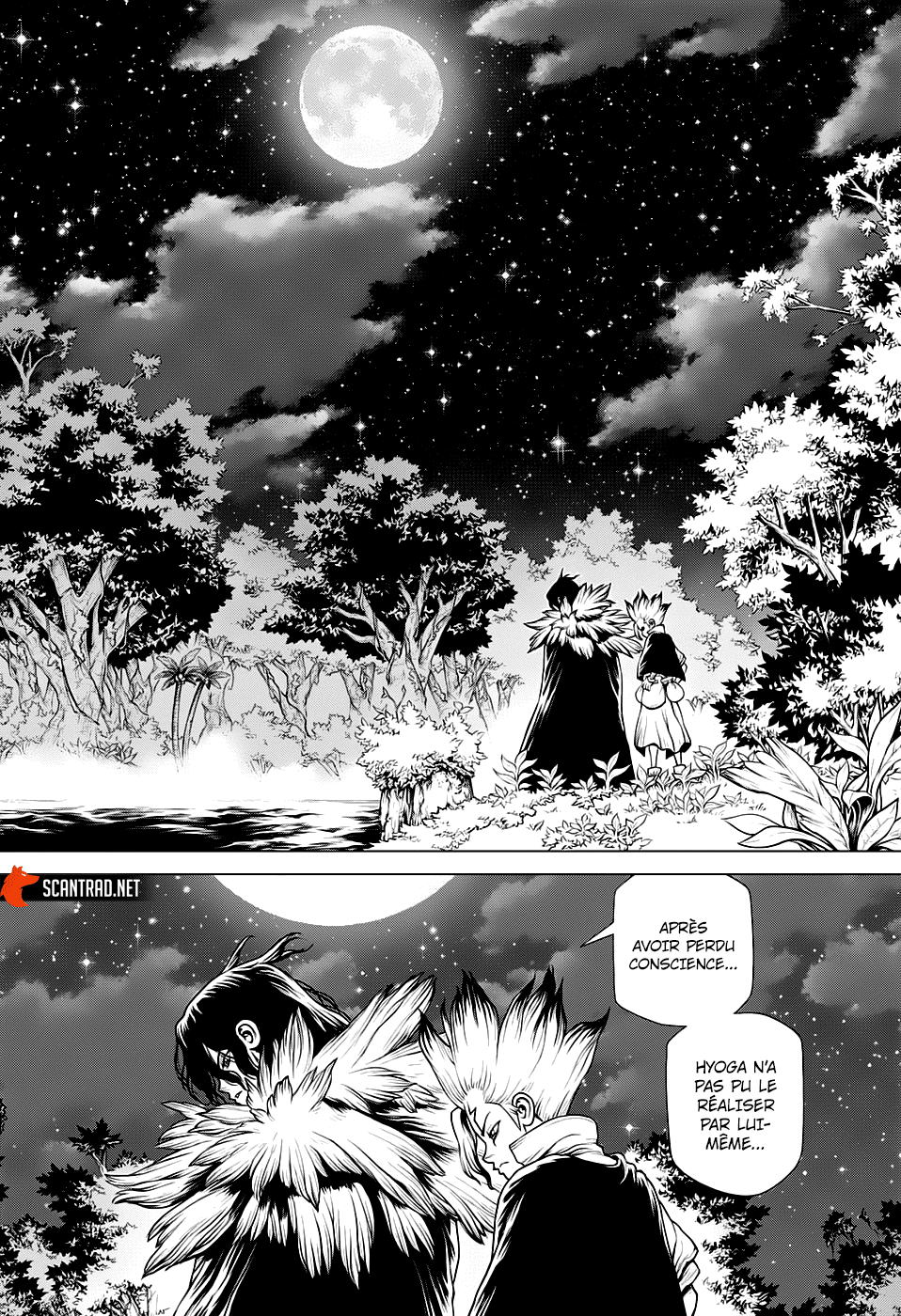 Dr. Stone: Chapter chapitre-197 - Page 14