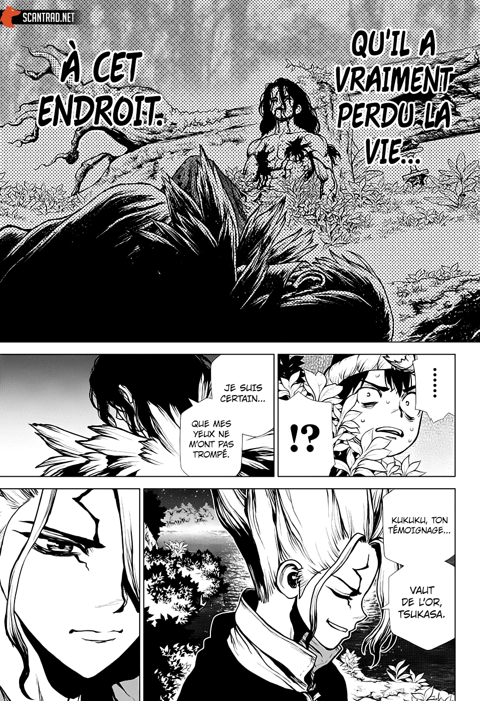 Dr. Stone: Chapter chapitre-197 - Page 15