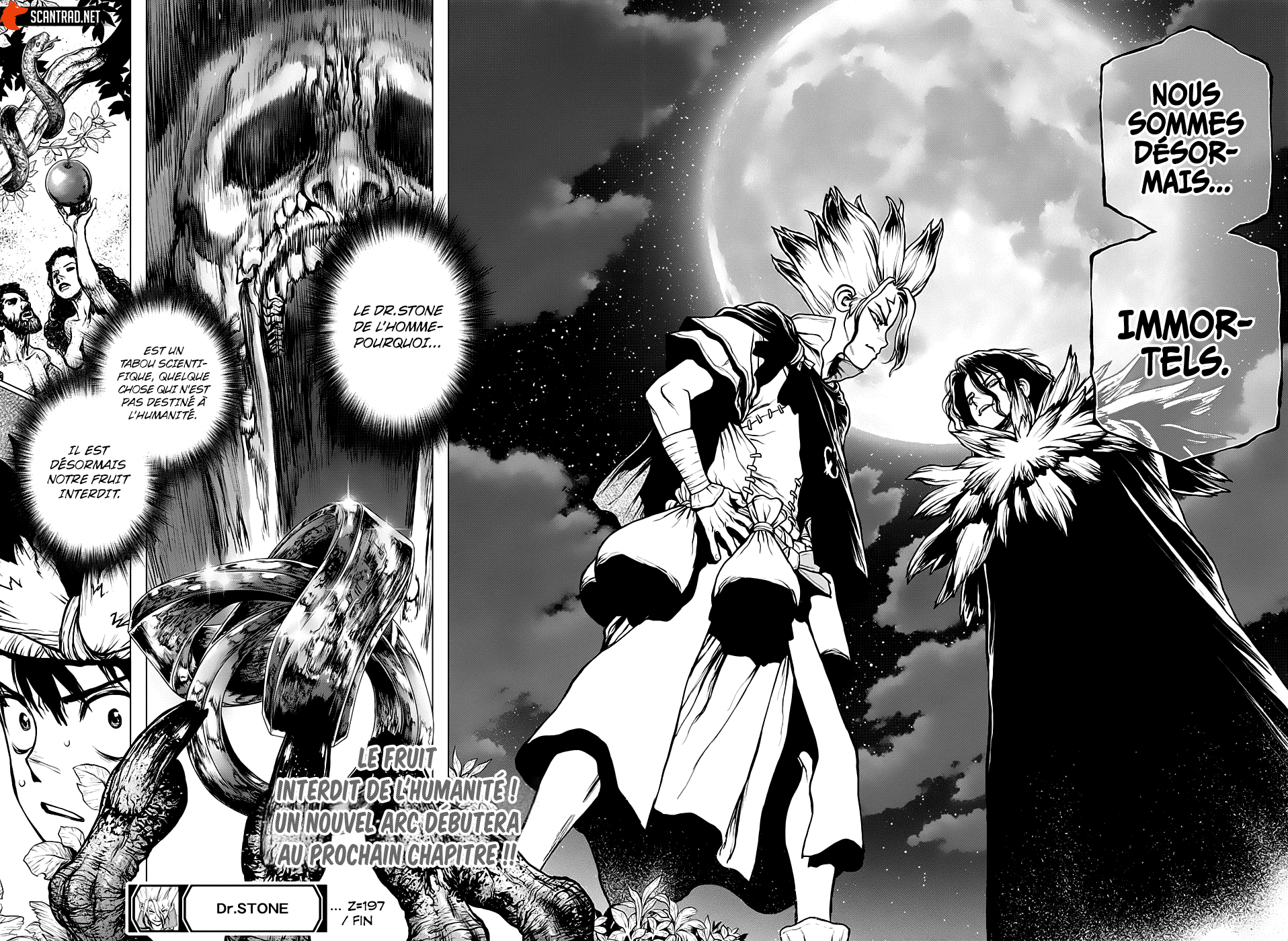 Dr. Stone: Chapter chapitre-197 - Page 17