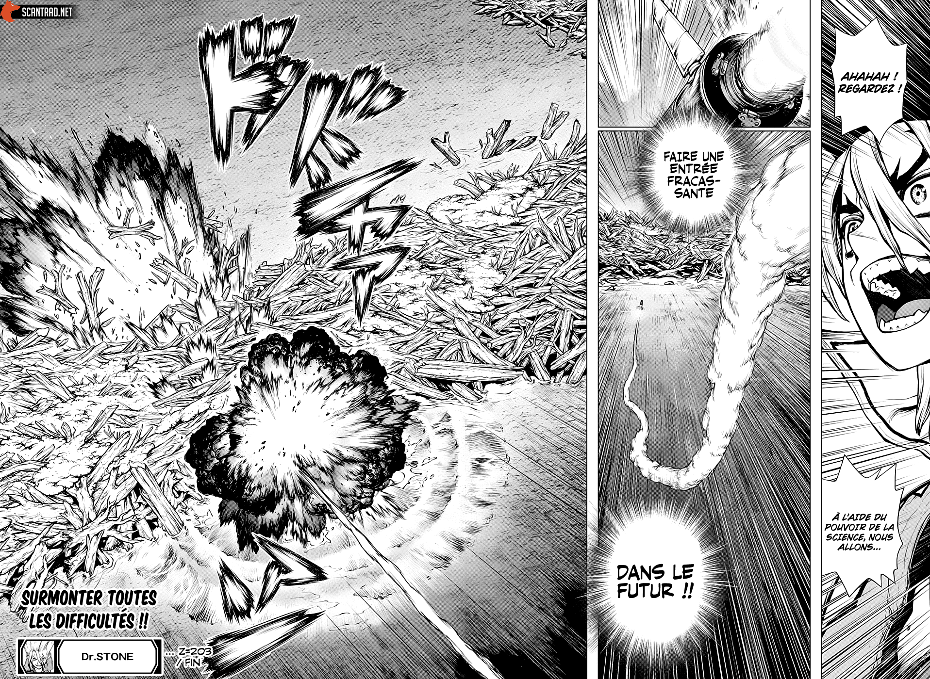 Dr. Stone: Chapter chapitre-203 - Page 18