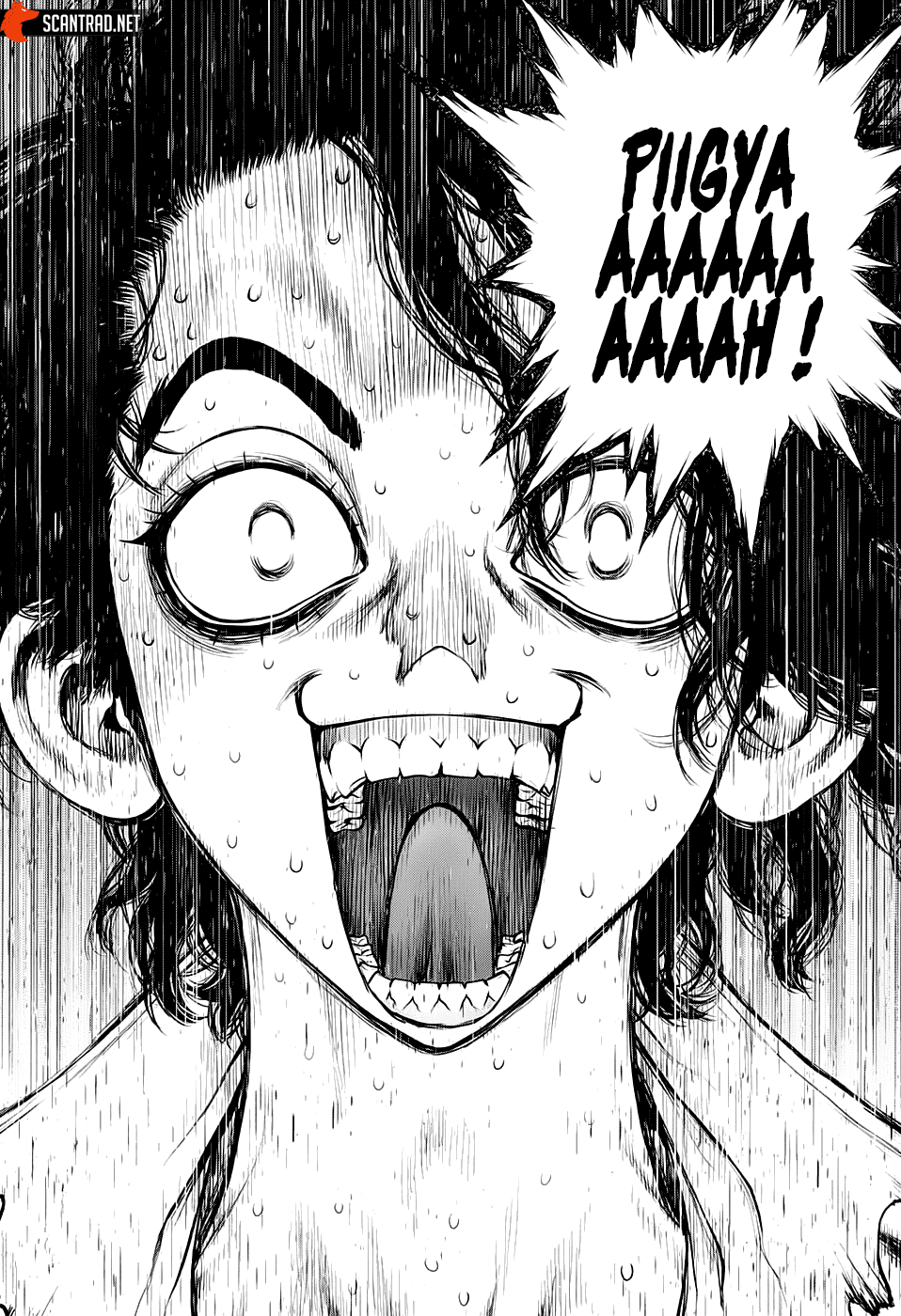 Dr. Stone: Chapter chapitre-204 - Page 14