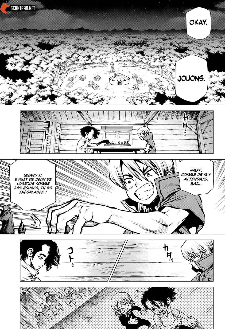 Dr. Stone: Chapter chapitre-207 - Page 17