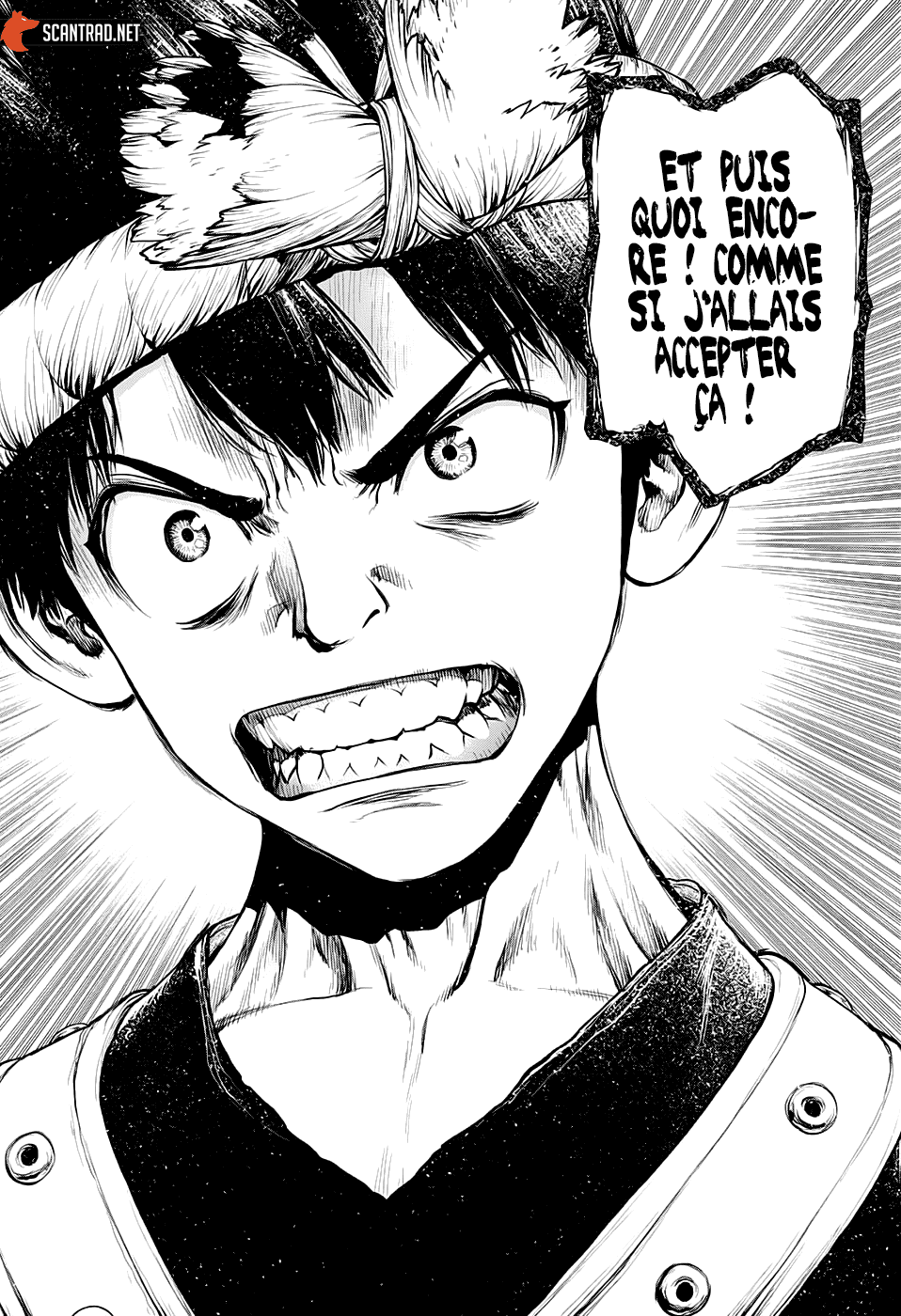 Dr. Stone: Chapter chapitre-210 - Page 11