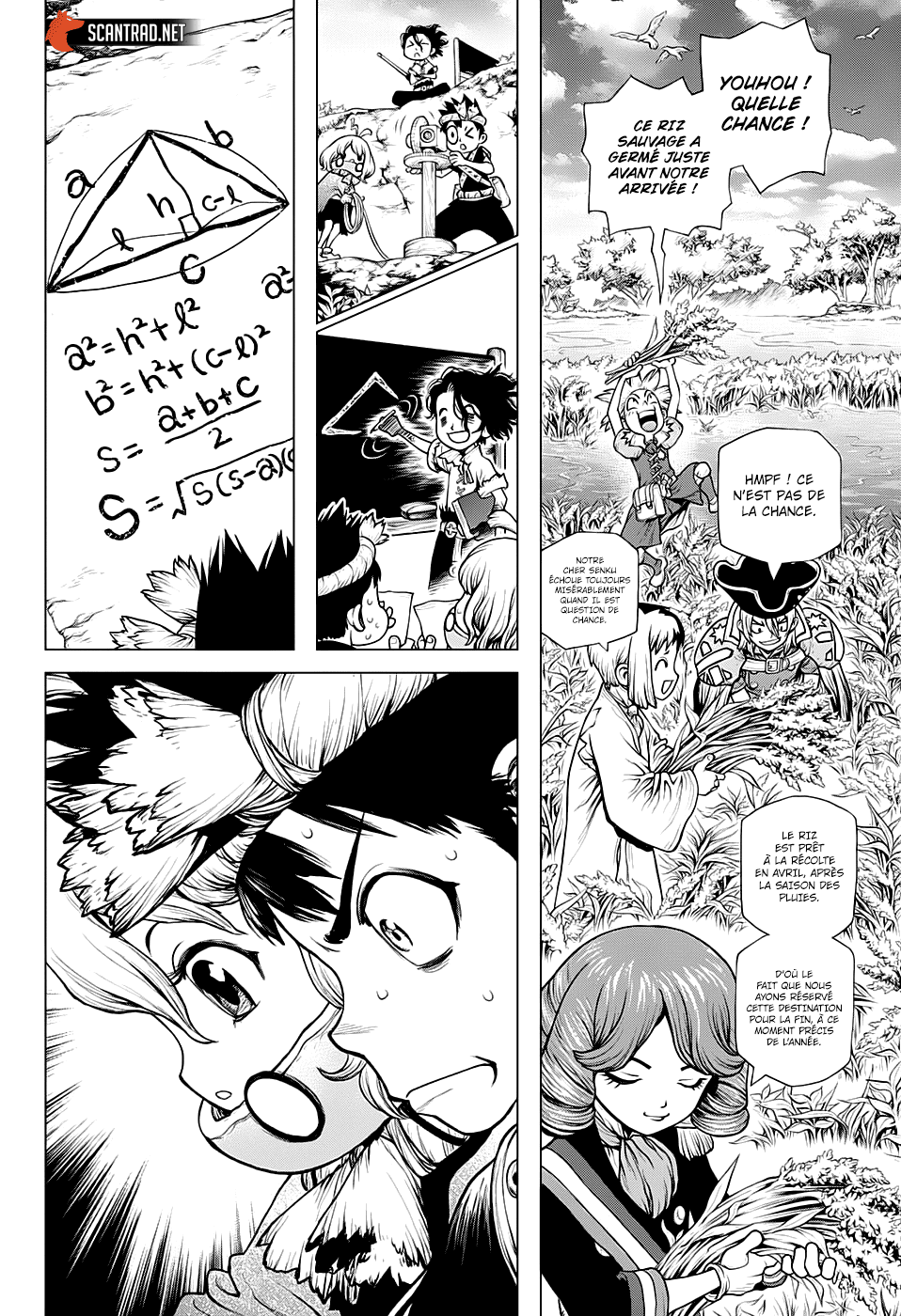 Dr. Stone: Chapter chapitre-211 - Page 8