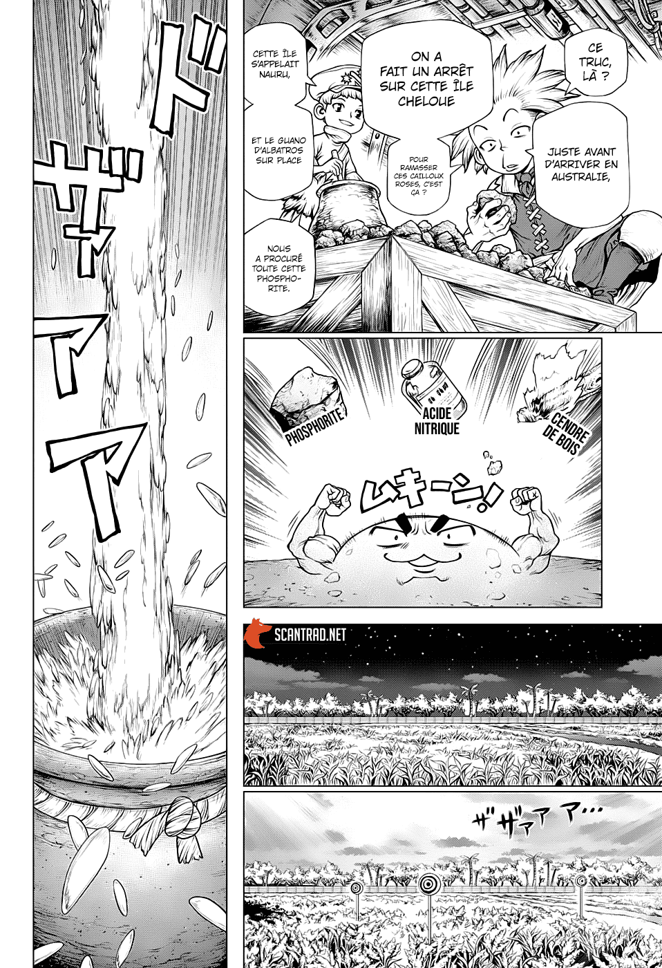Dr. Stone: Chapter chapitre-211 - Page 11