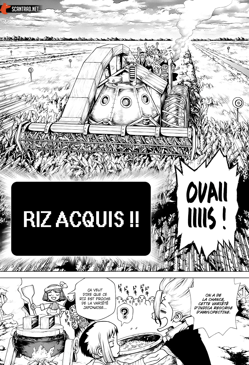Dr. Stone: Chapter chapitre-211 - Page 12
