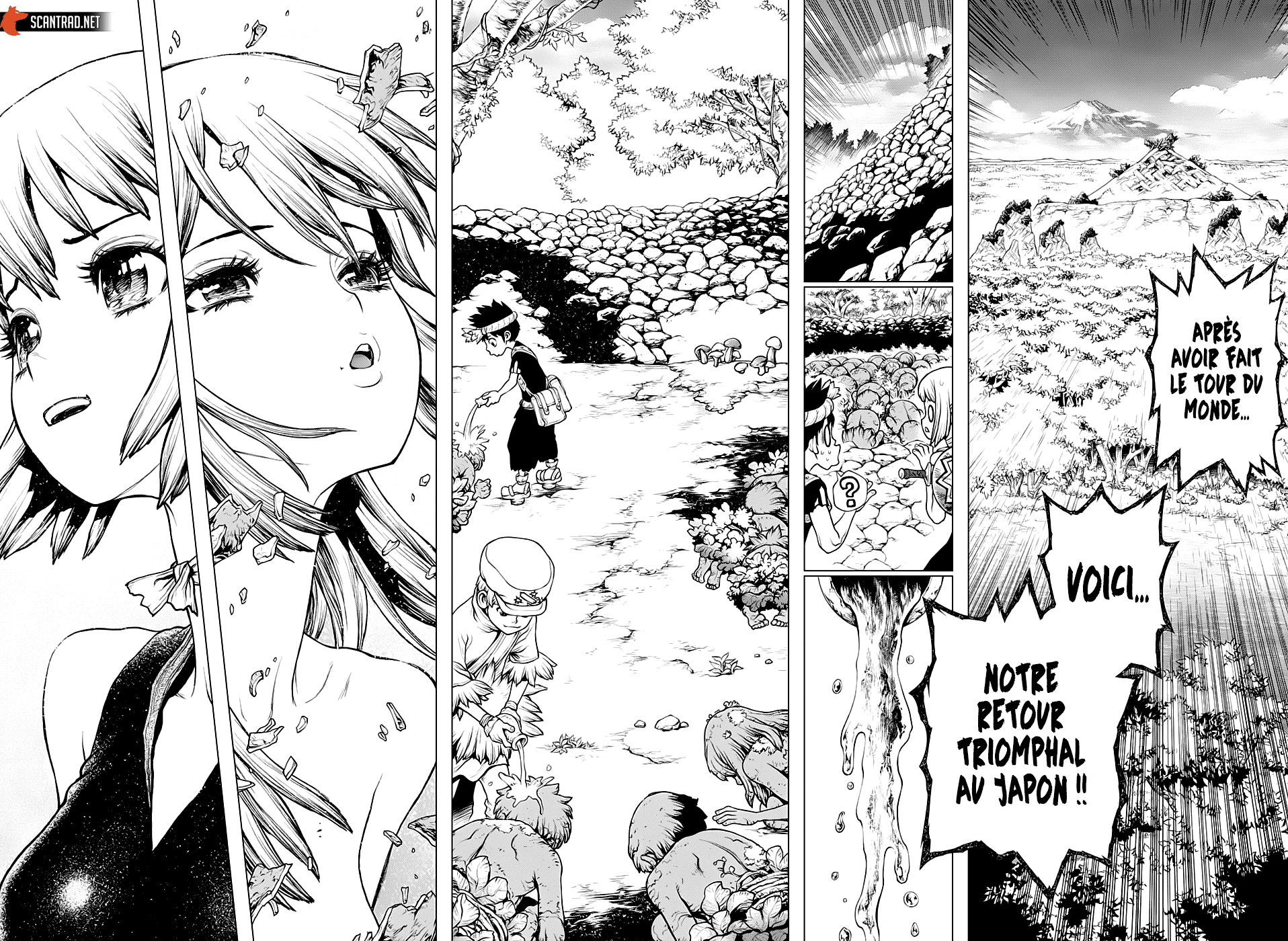 Dr. Stone: Chapter chapitre-212 - Page 4
