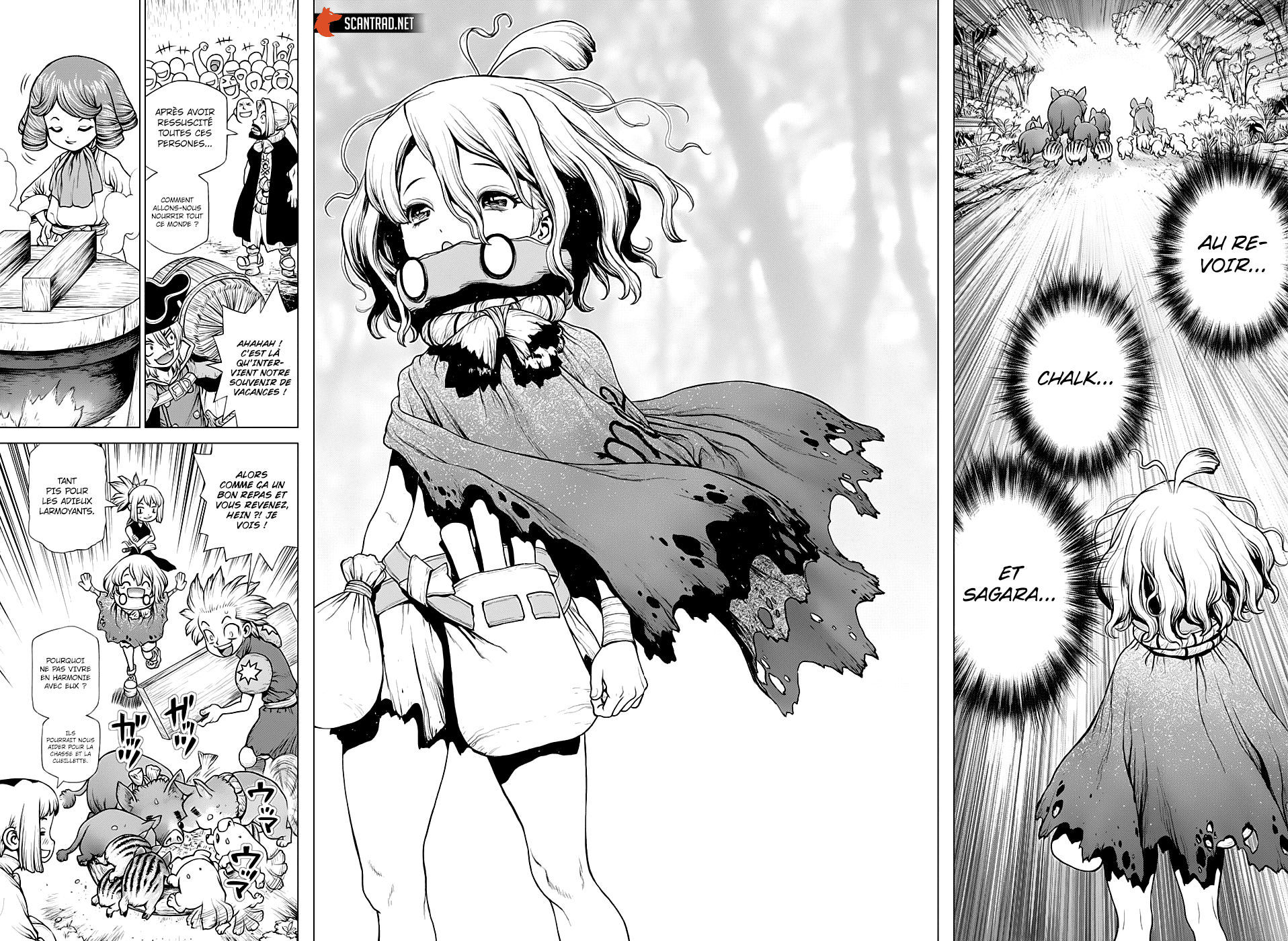 Dr. Stone: Chapter chapitre-212 - Page 12