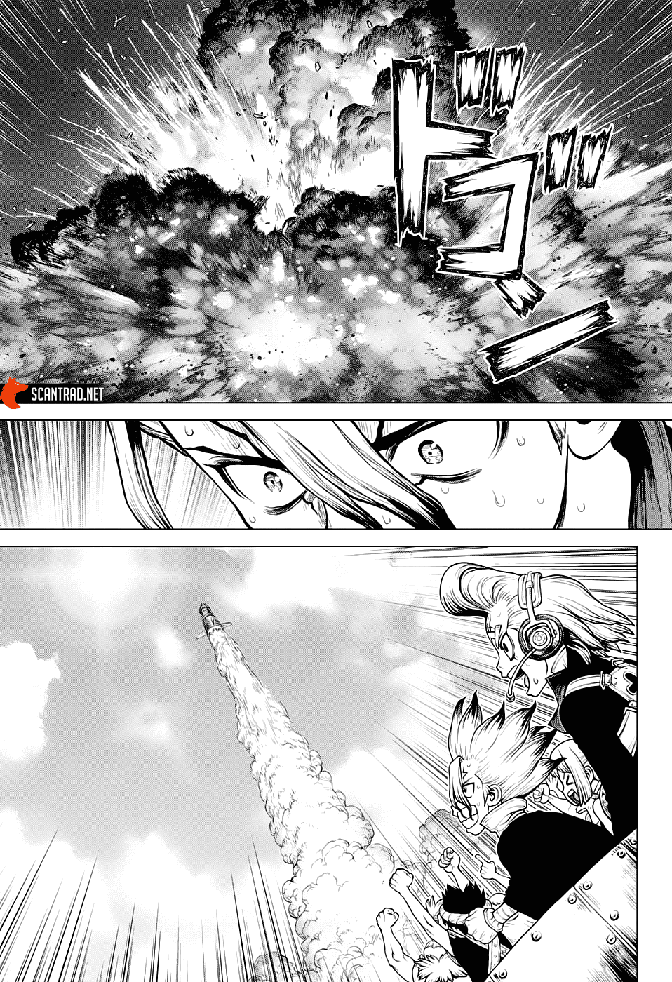 Dr. Stone: Chapter chapitre-215 - Page 15