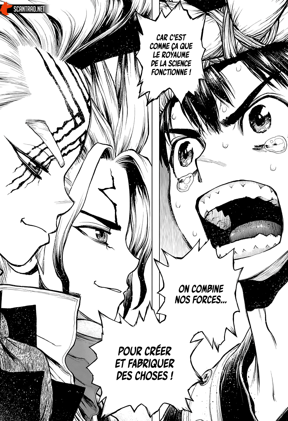 Dr. Stone: Chapter chapitre-217 - Page 11