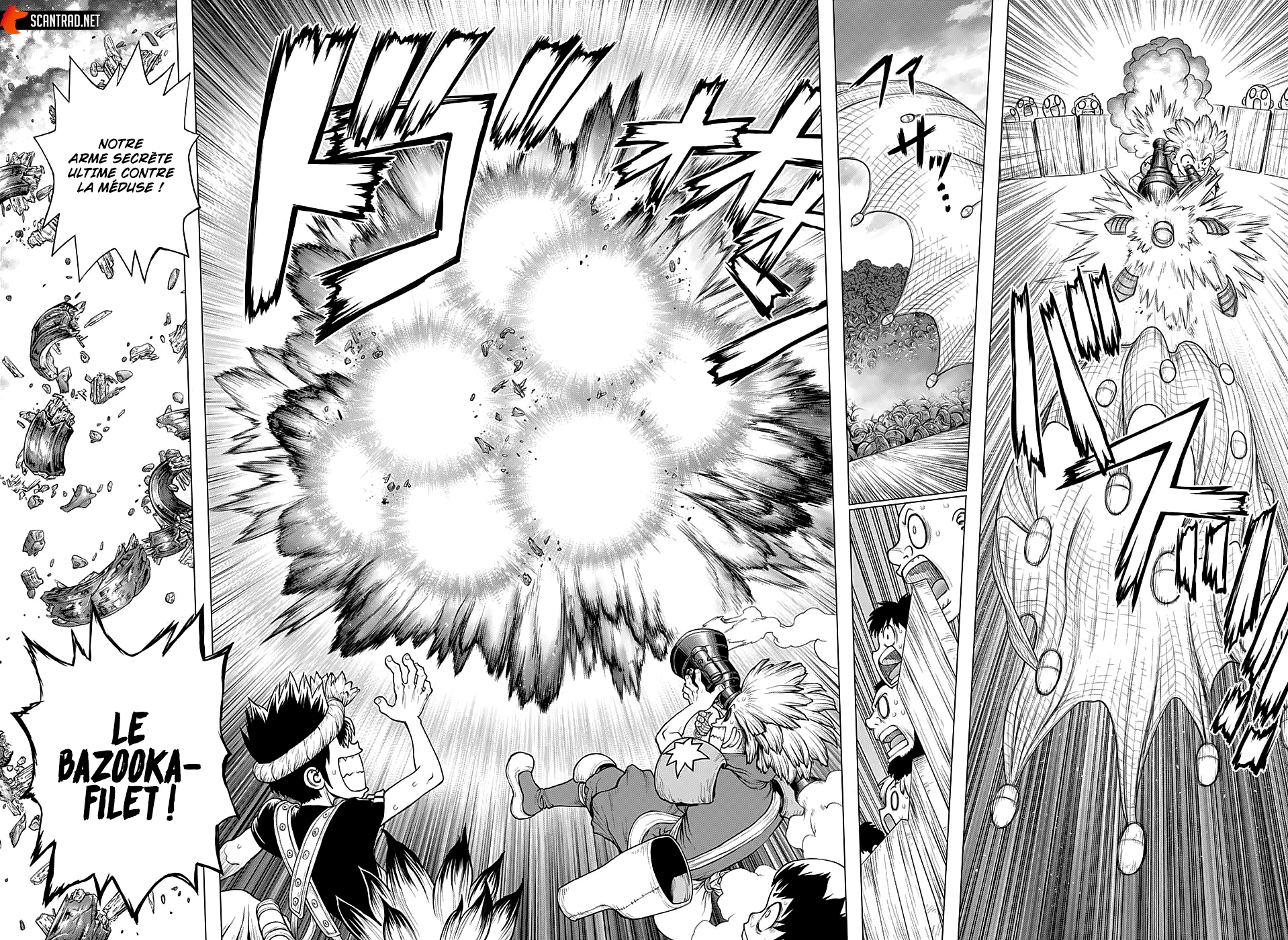 Dr. Stone: Chapter chapitre-220 - Page 12