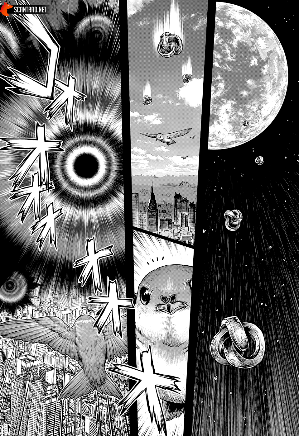 Scan Dr. Stone Chapitre 229 : L'homme-pourquoi - Page 8 sur ScanVF.Net