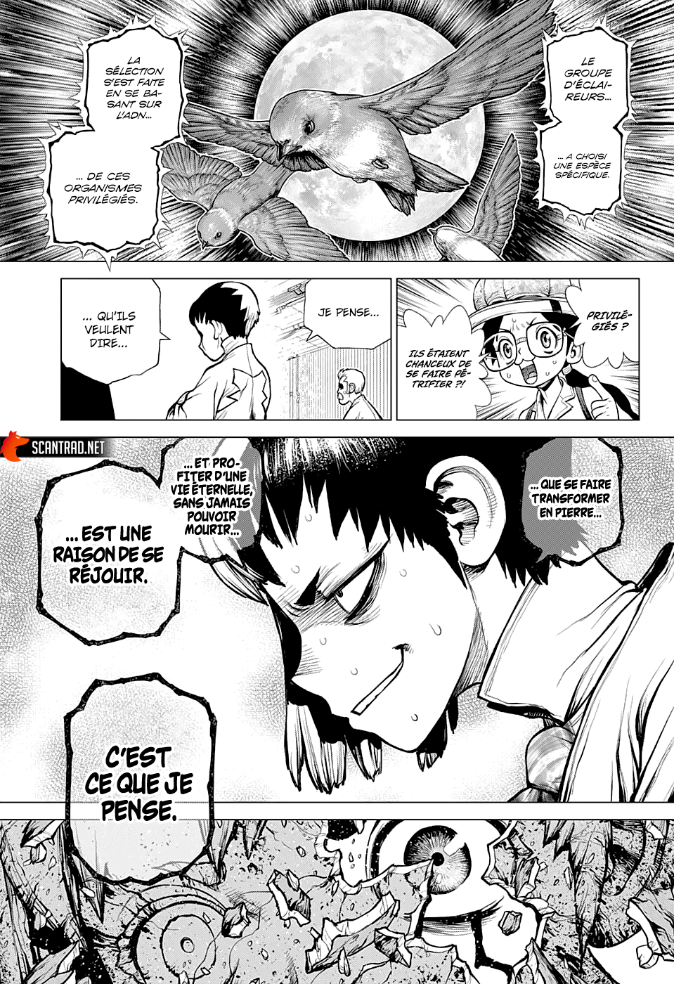 Dr. Stone: Chapter chapitre-229 - Page 5