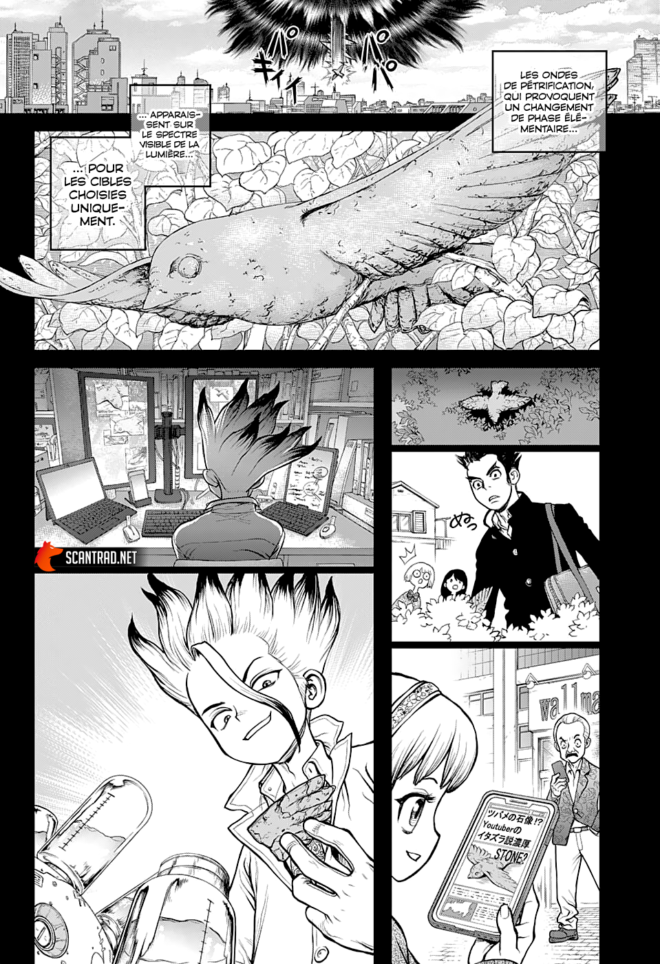 Dr. Stone: Chapter chapitre-229 - Page 6