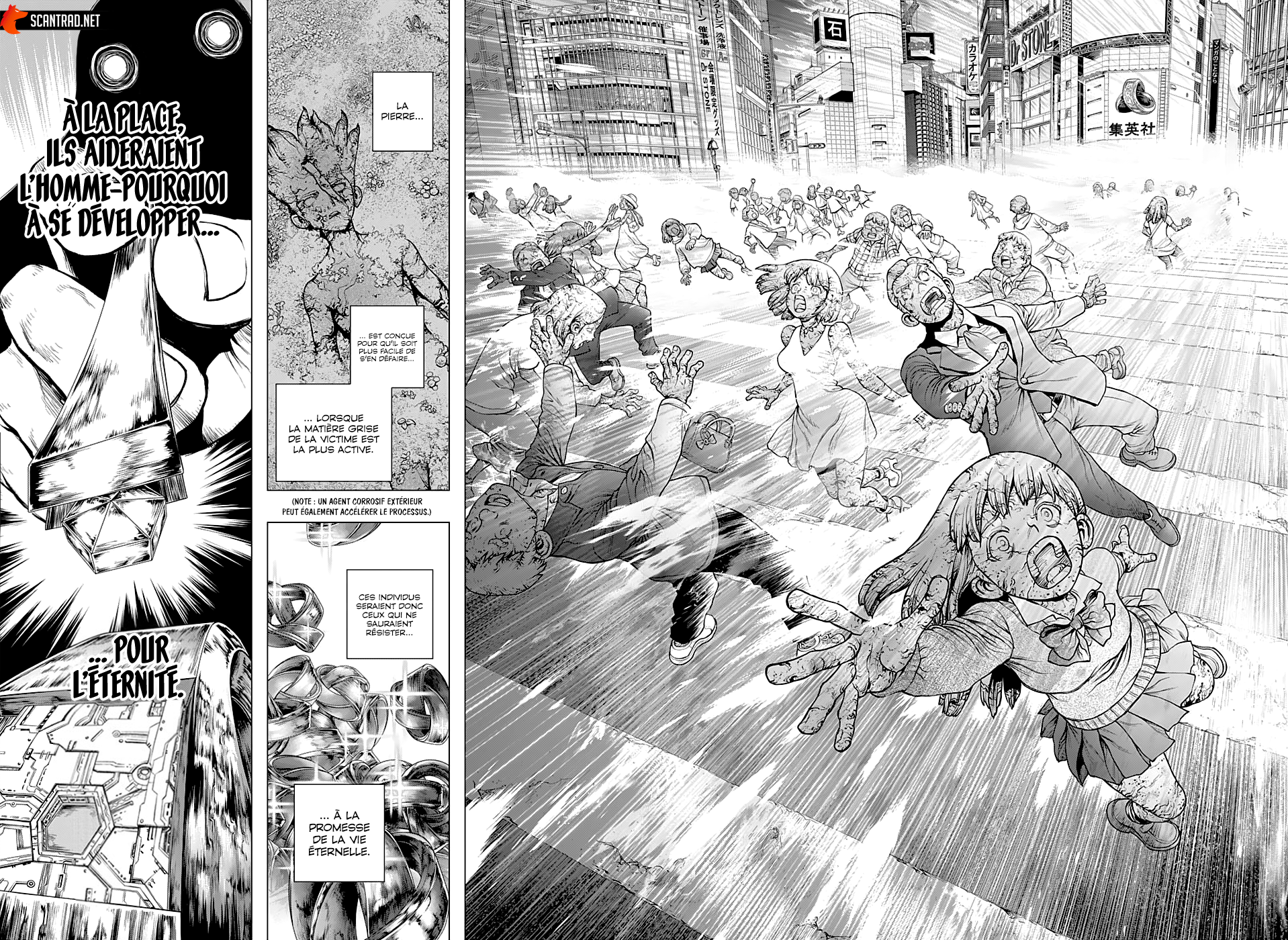 Scan Dr. Stone Chapitre 229 : L'homme-pourquoi - Page 8 sur ScanVF.Net