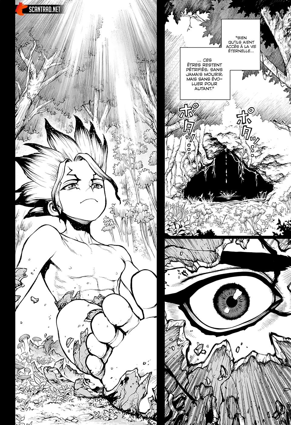 Dr. Stone: Chapter chapitre-229 - Page 13
