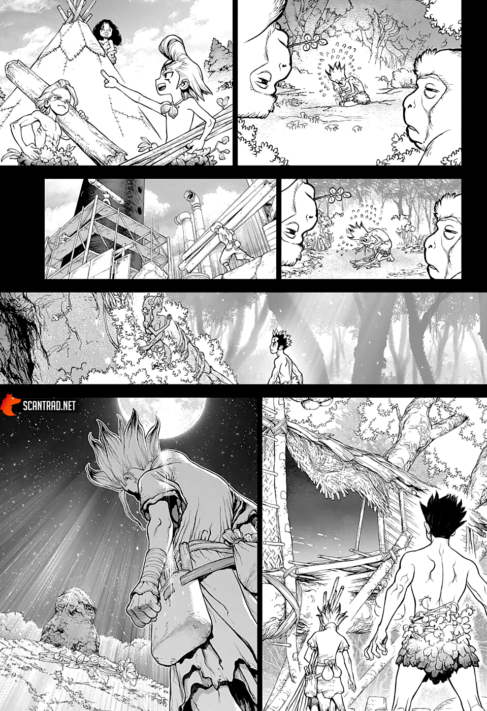 Dr. Stone: Chapter chapitre-229 - Page 14