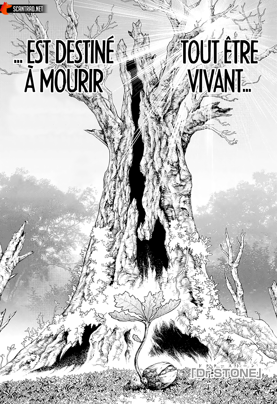 Dr. Stone: Chapter chapitre-230 - Page 1