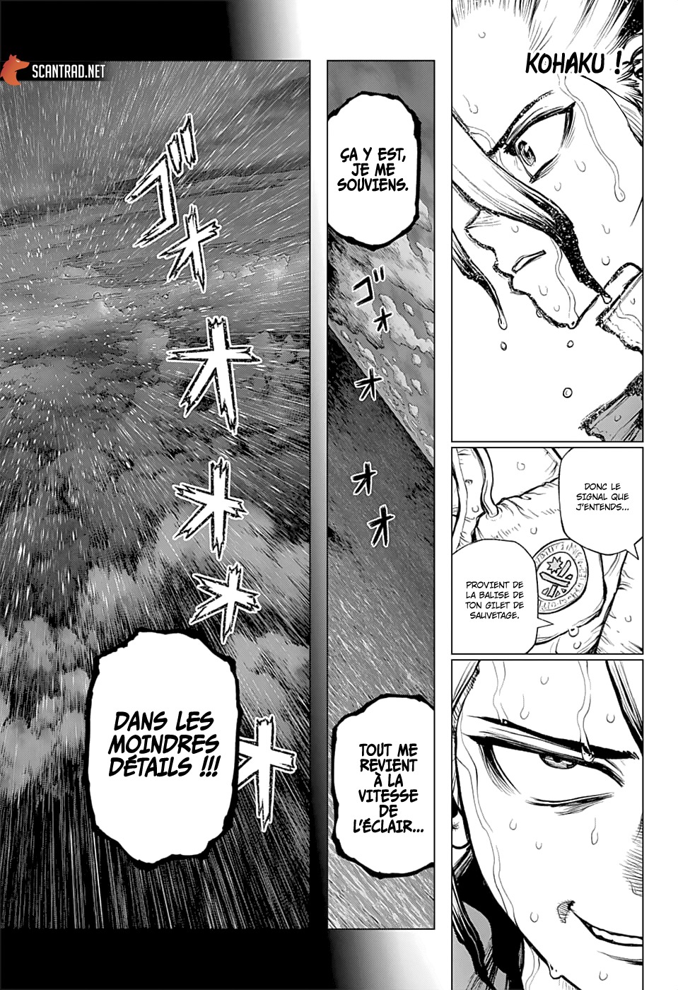 Dr. Stone: Chapter chapitre-232.1 - Page 8