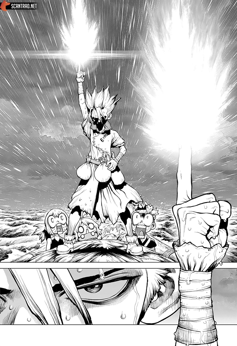 Dr. Stone: Chapter chapitre-232.1 - Page 29