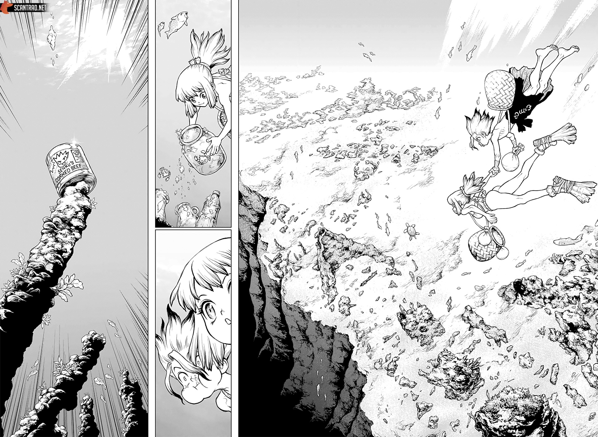 Dr. Stone: Chapter chapitre-232.1 - Page 31