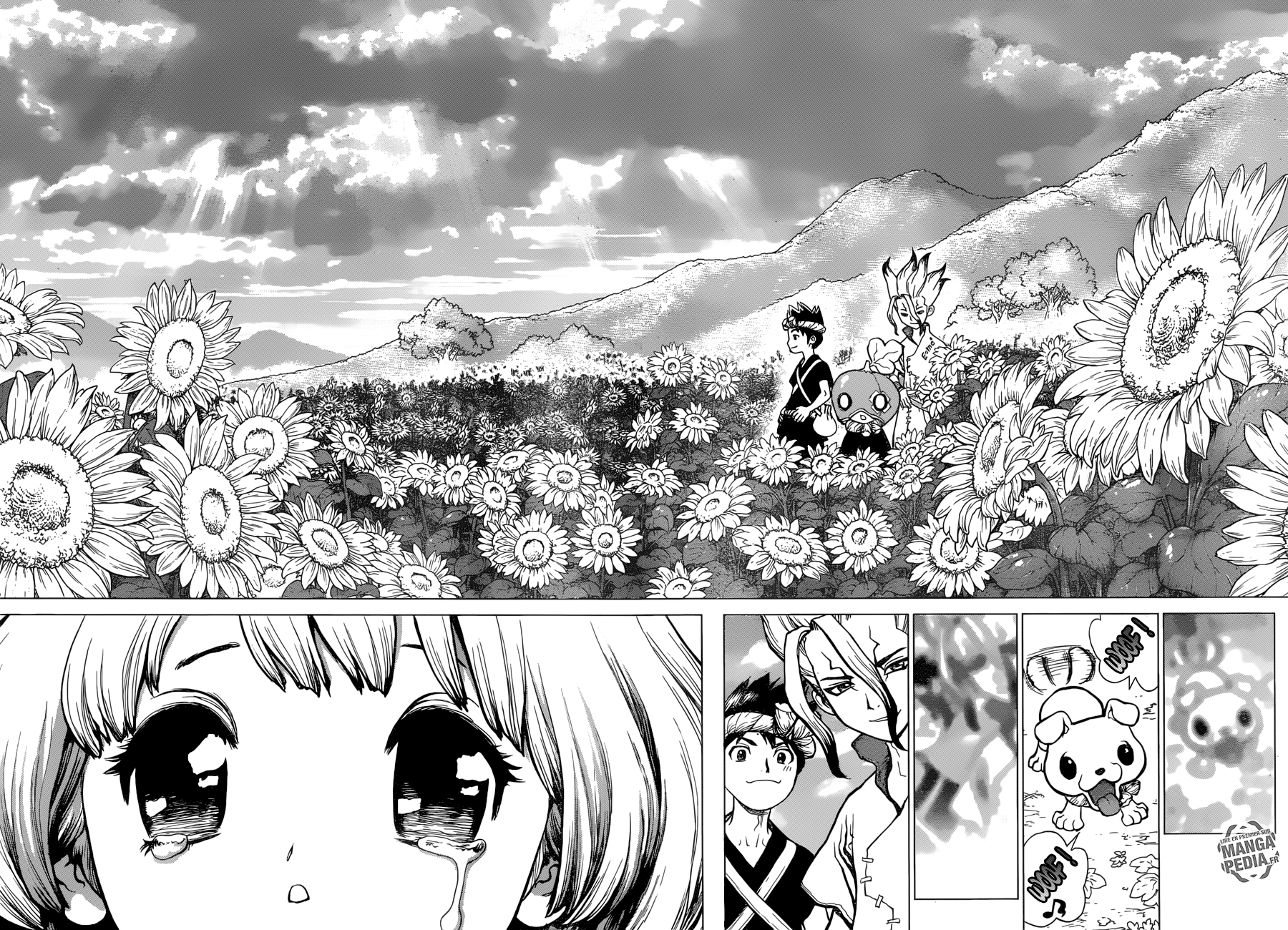 Dr. Stone: Chapter chapitre-28 - Page 14