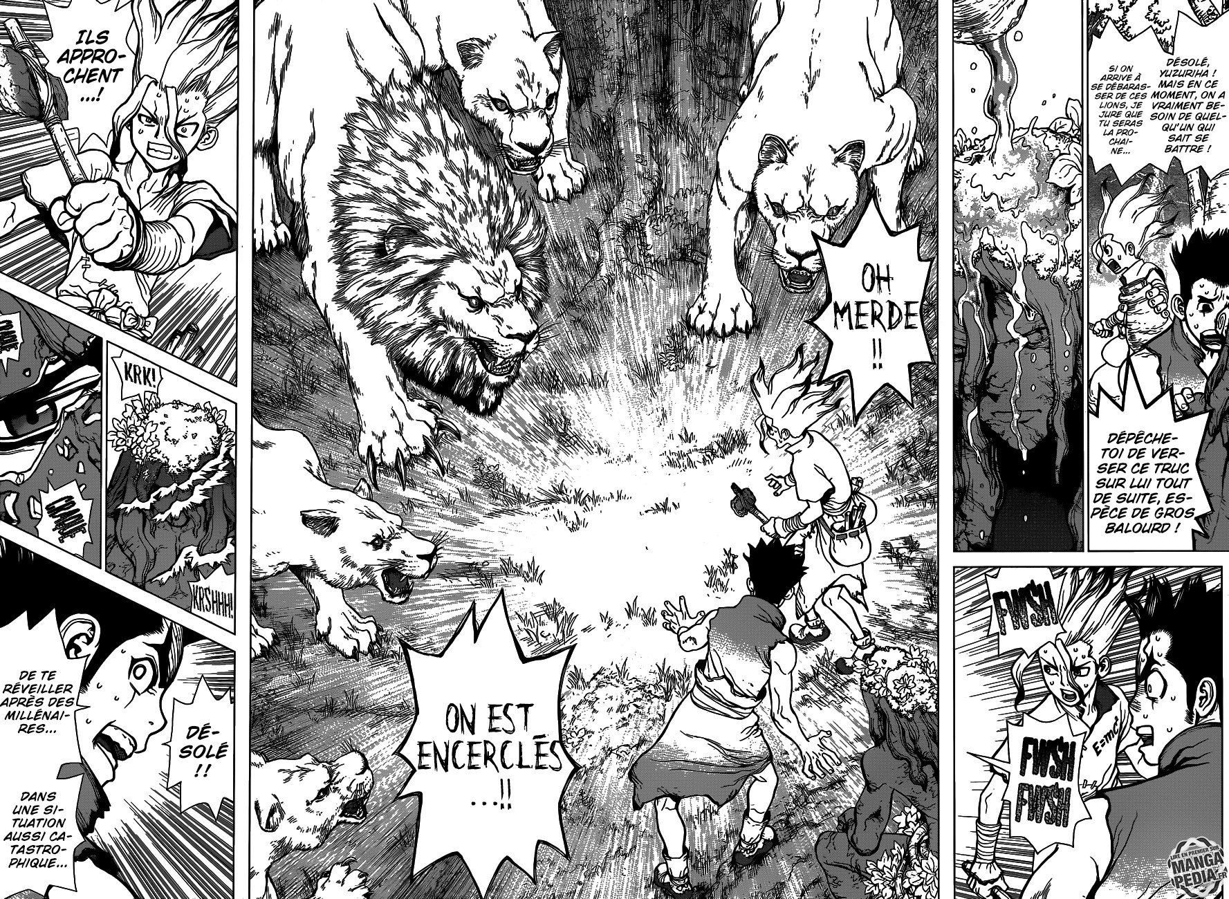 Dr. Stone: Chapter chapitre-3 - Page 14