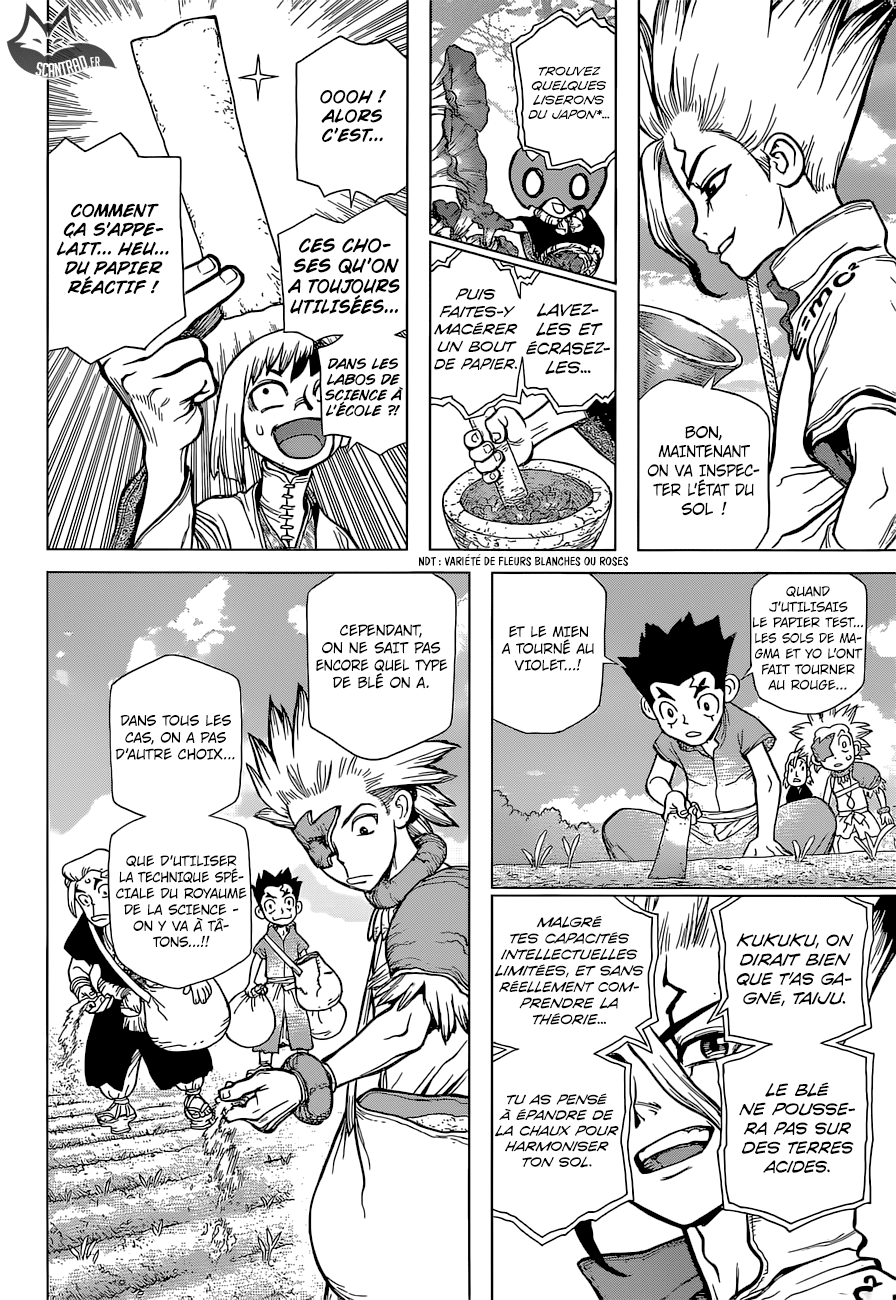 Dr. Stone: Chapter chapitre-91 - Page 13