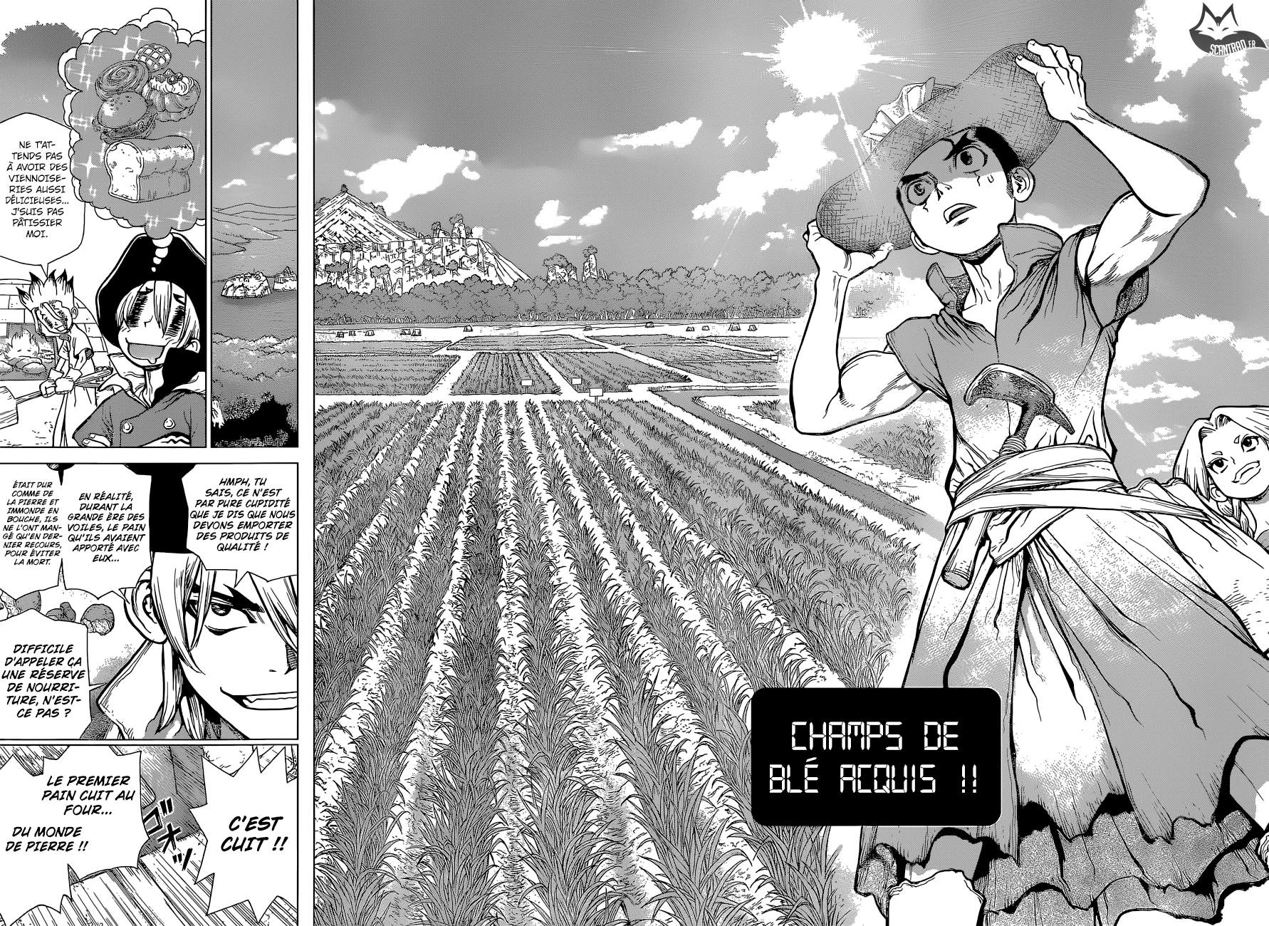 Dr. Stone: Chapter chapitre-91 - Page 15
