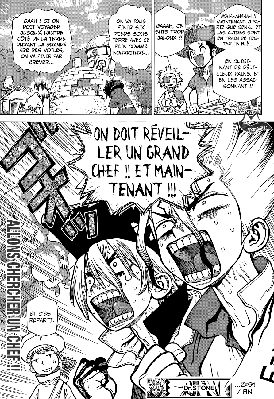 Dr. Stone: Chapter chapitre-91 - Page 17