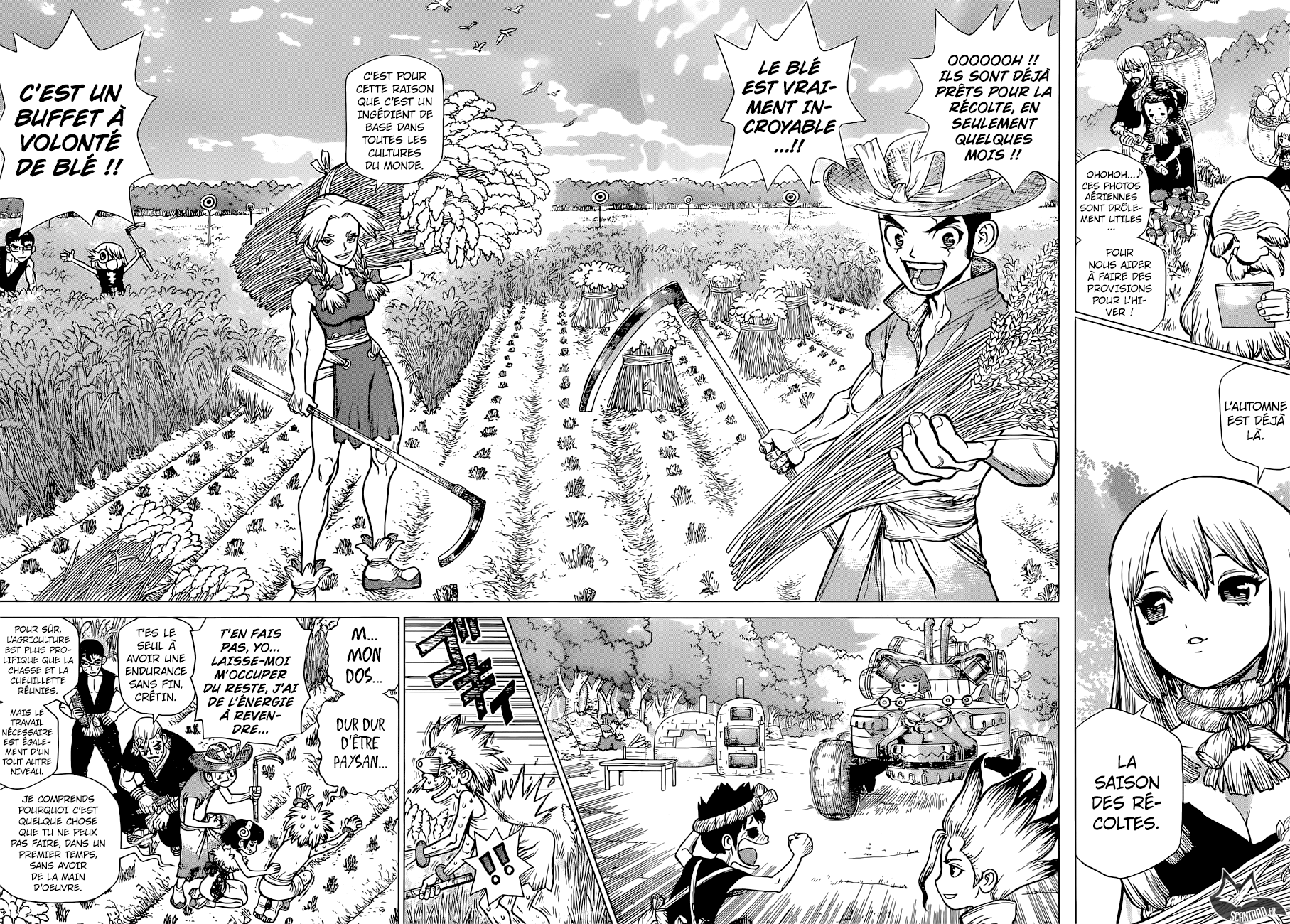 Dr. Stone: Chapter chapitre-94 - Page 4